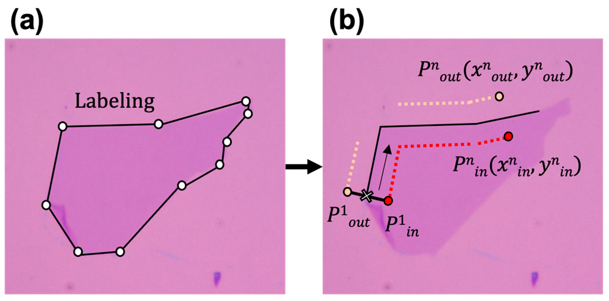 Nanomaterials 14 00183 g002