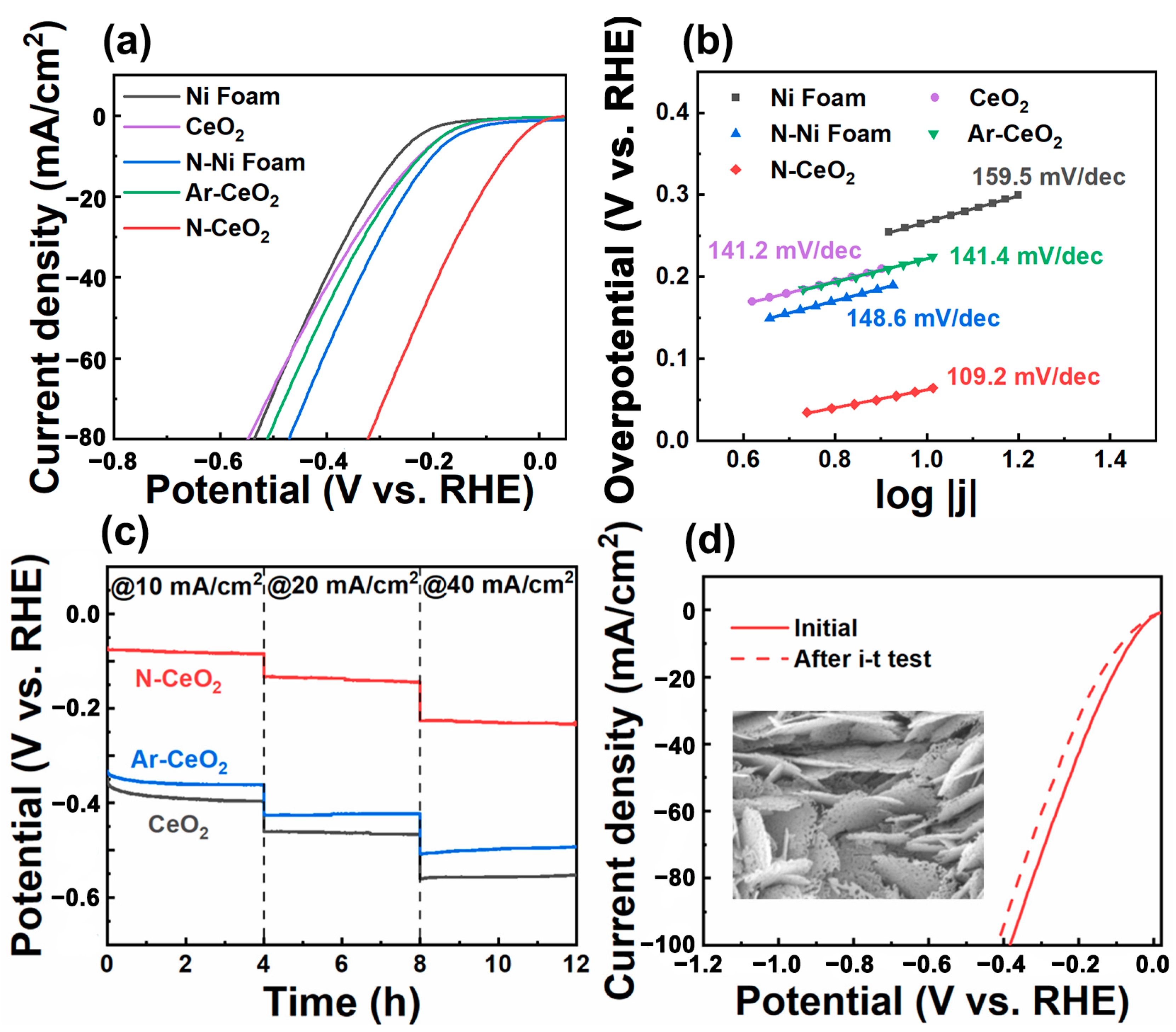Nanomaterials 14 00185 g003