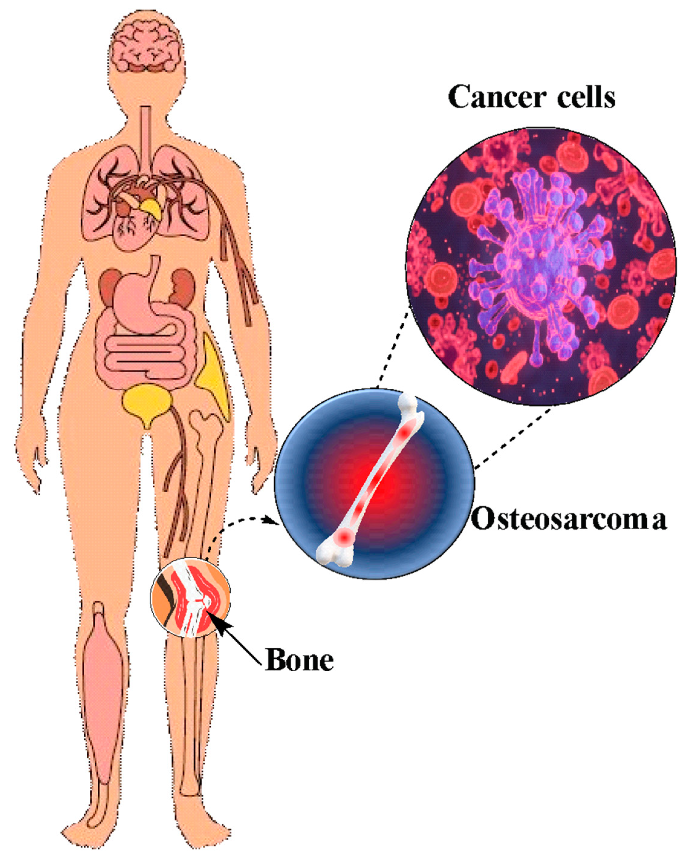 Nanomaterials 14 00186 g002