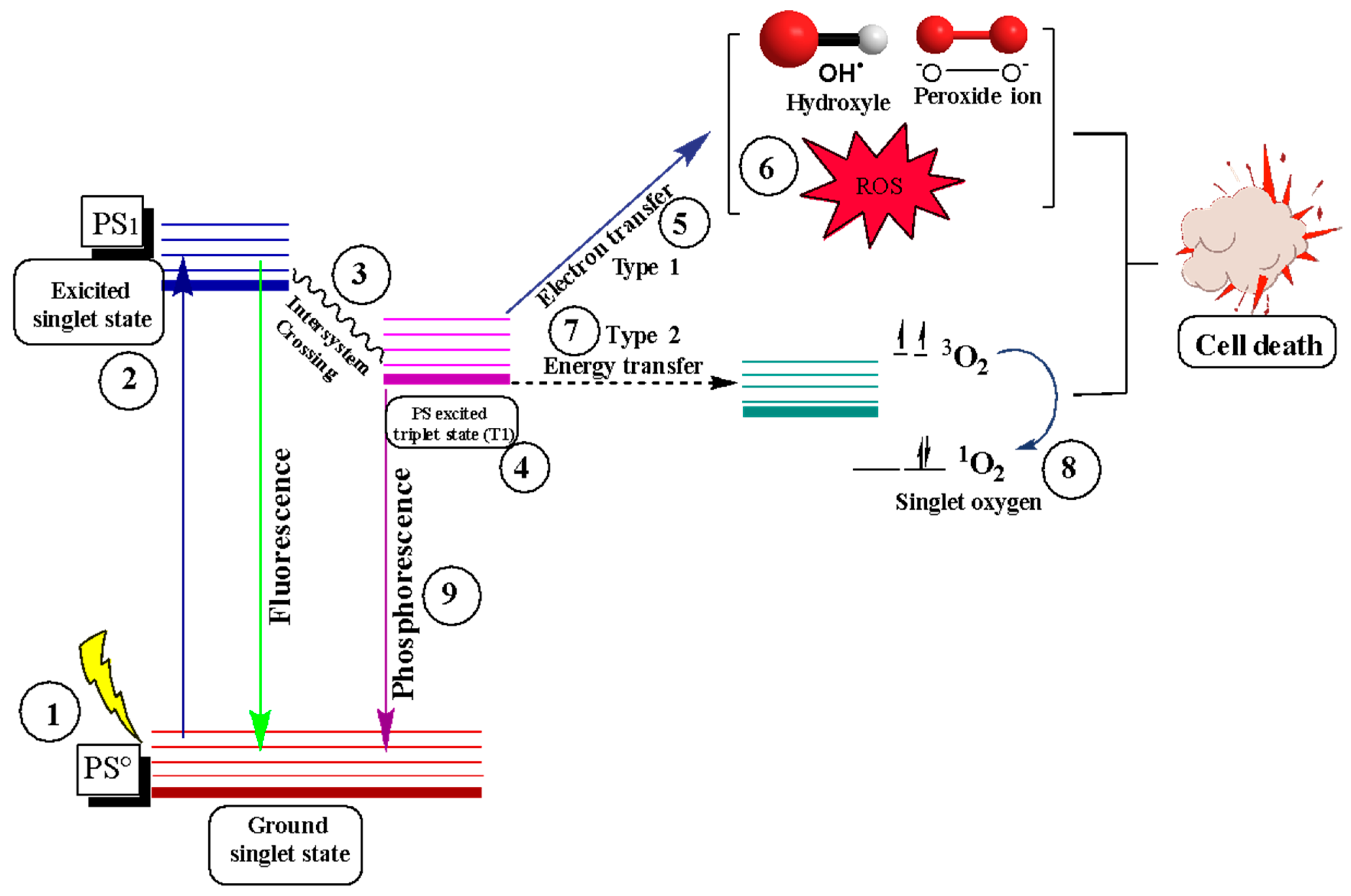 Nanomaterials 14 00186 g004