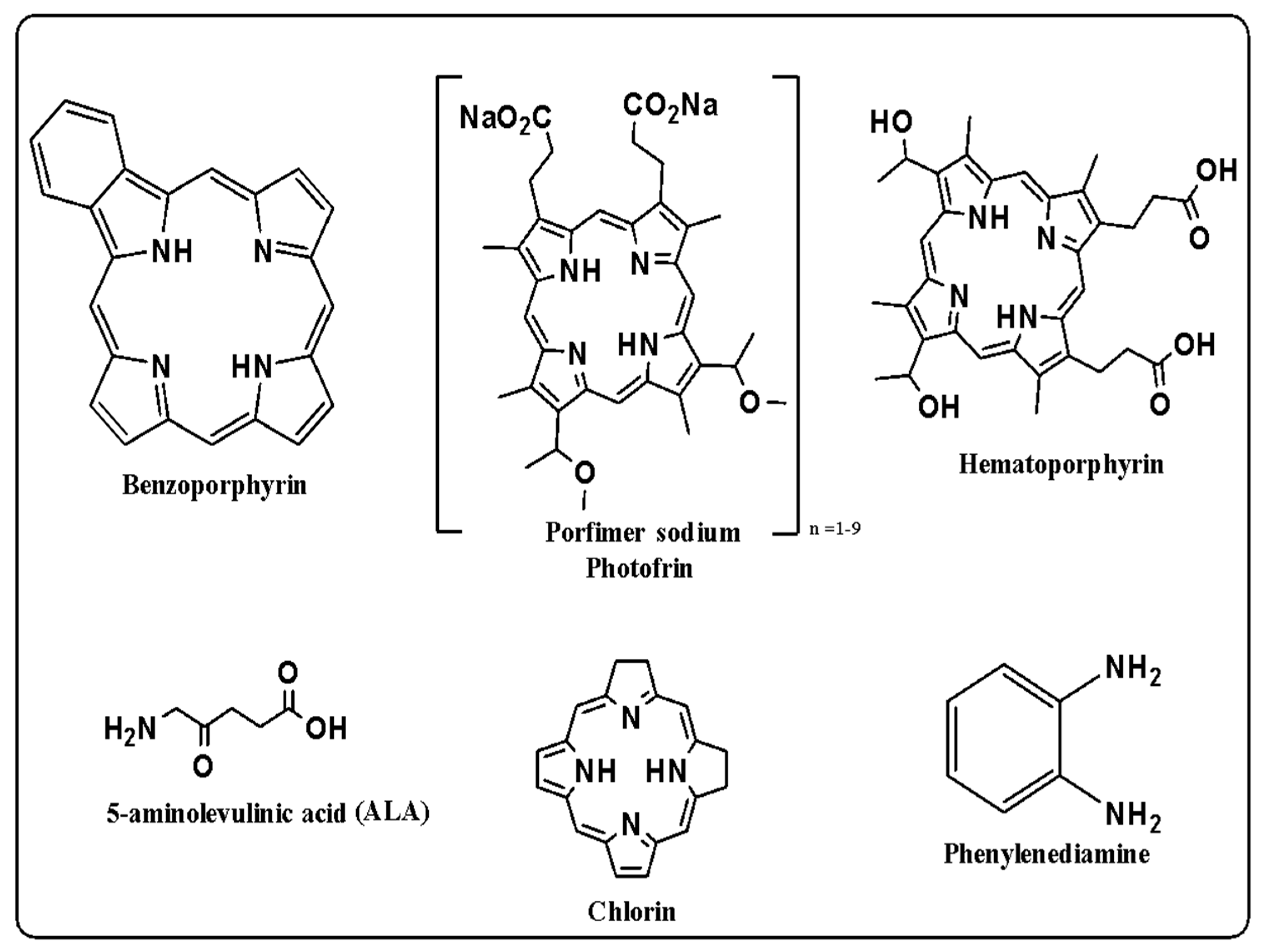 Nanomaterials 14 00186 g005