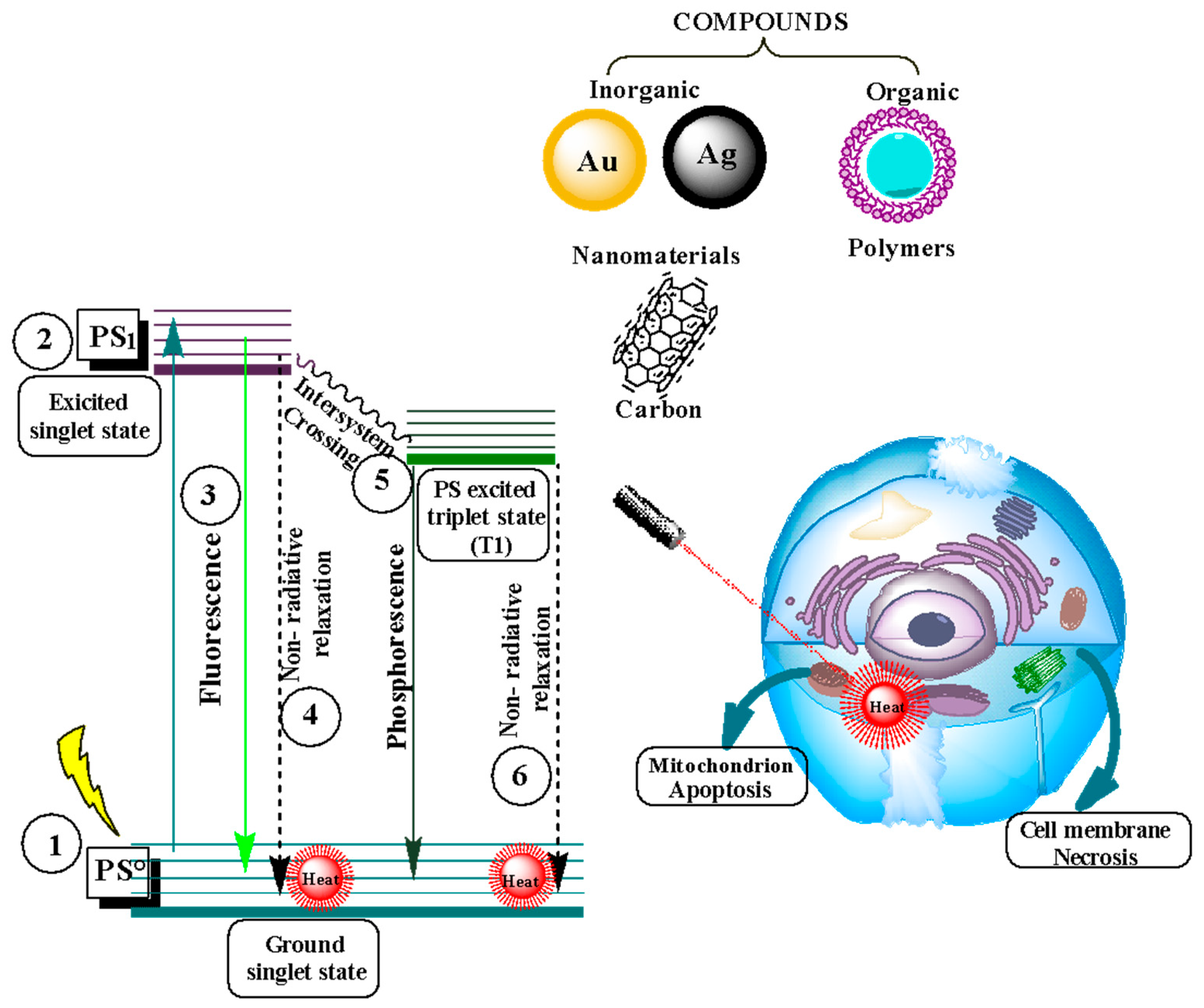 Nanomaterials 14 00186 g006