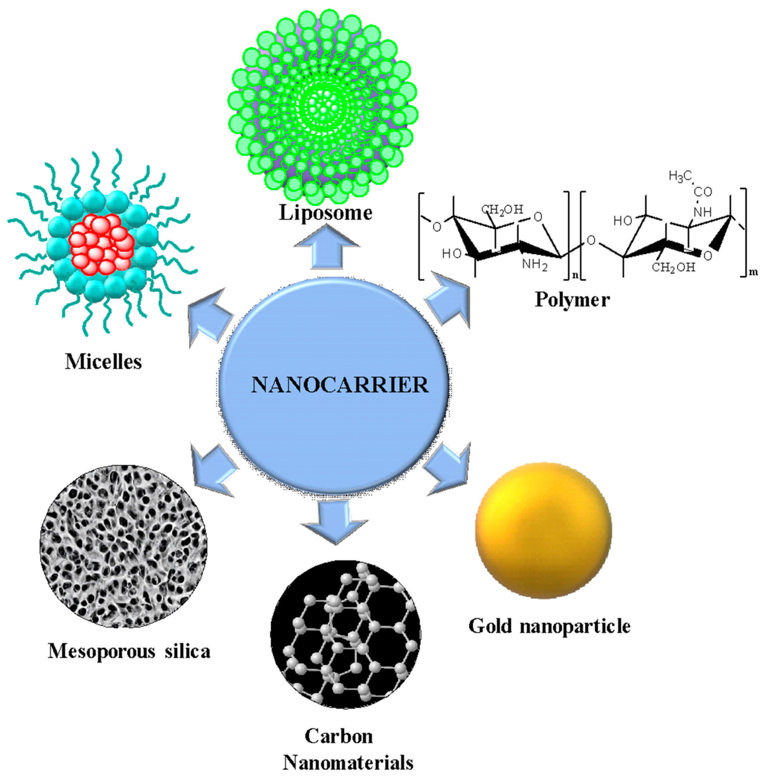 Nanomaterials 14 00186 g007