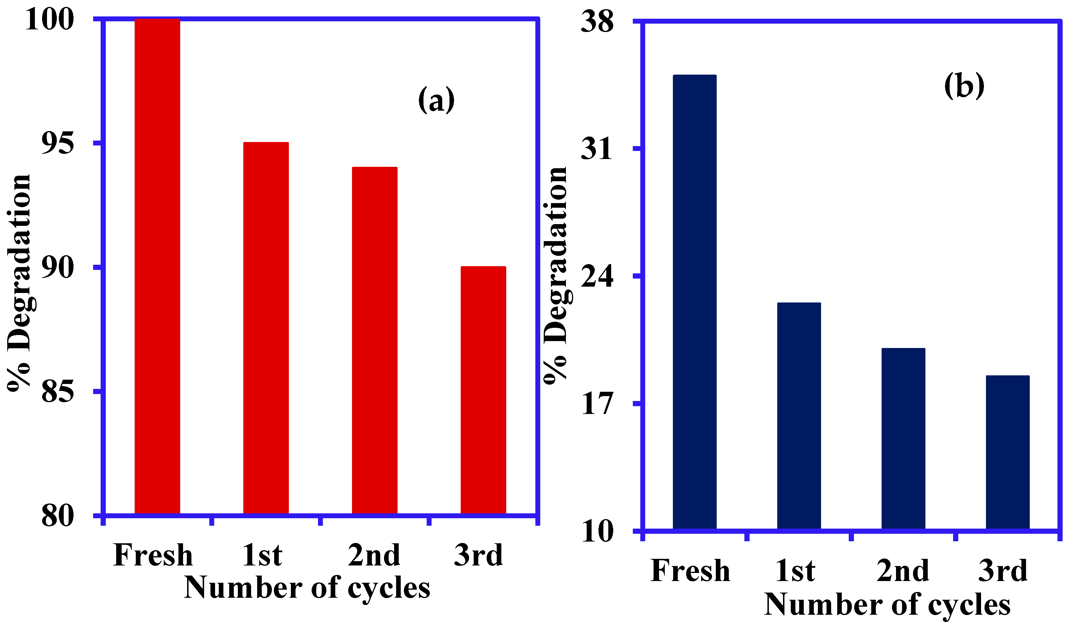 Nanomaterials 14 00190 g010