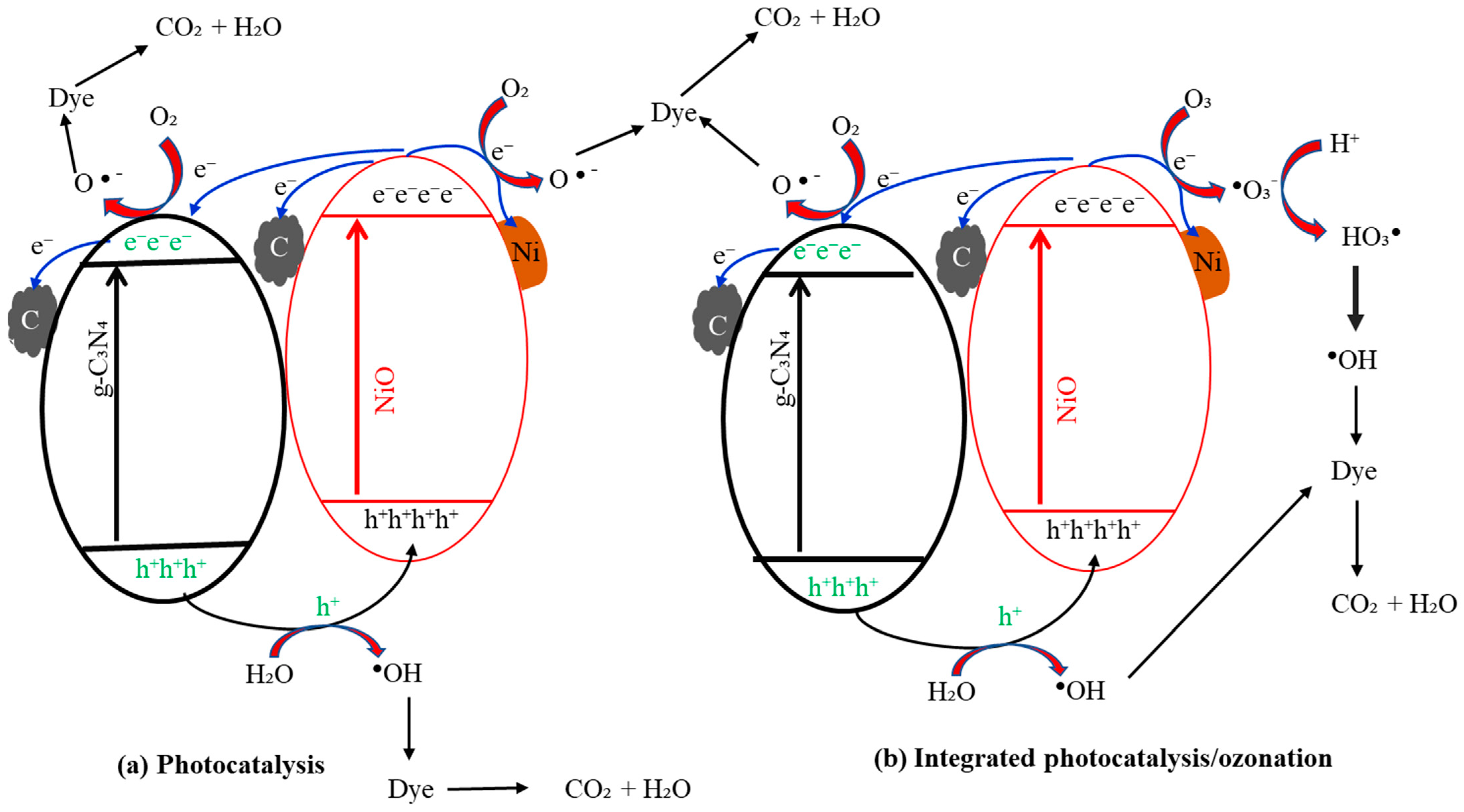 Nanomaterials 14 00190 g011