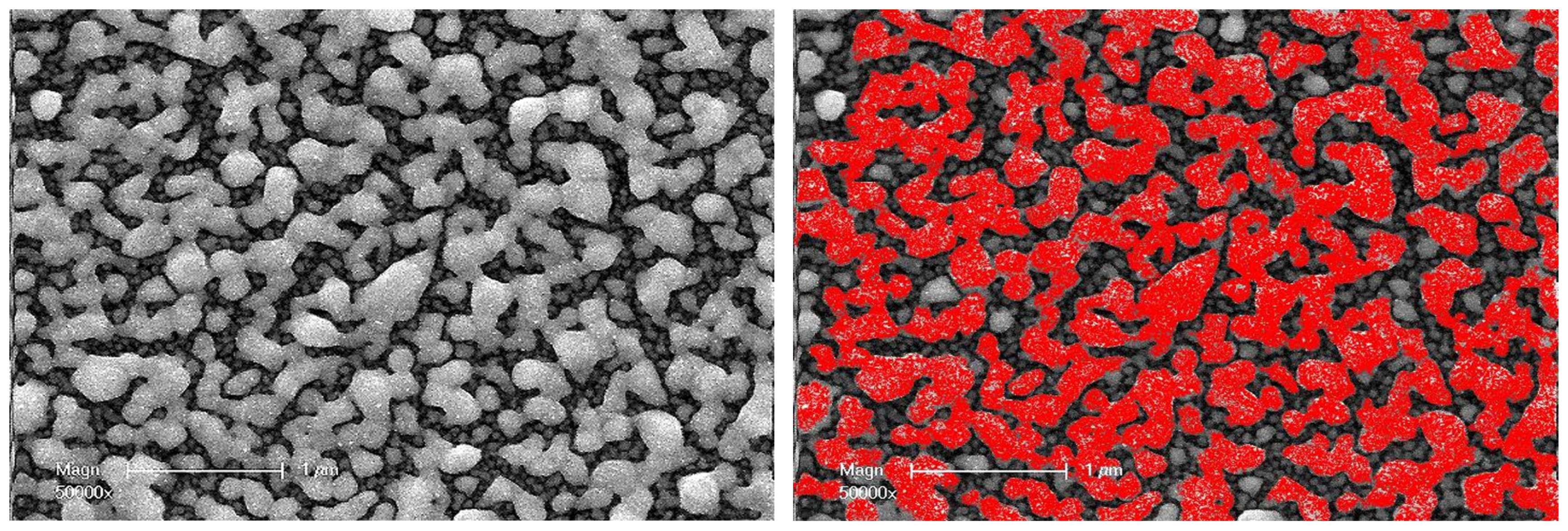 Nanomaterials 14 00193 g006