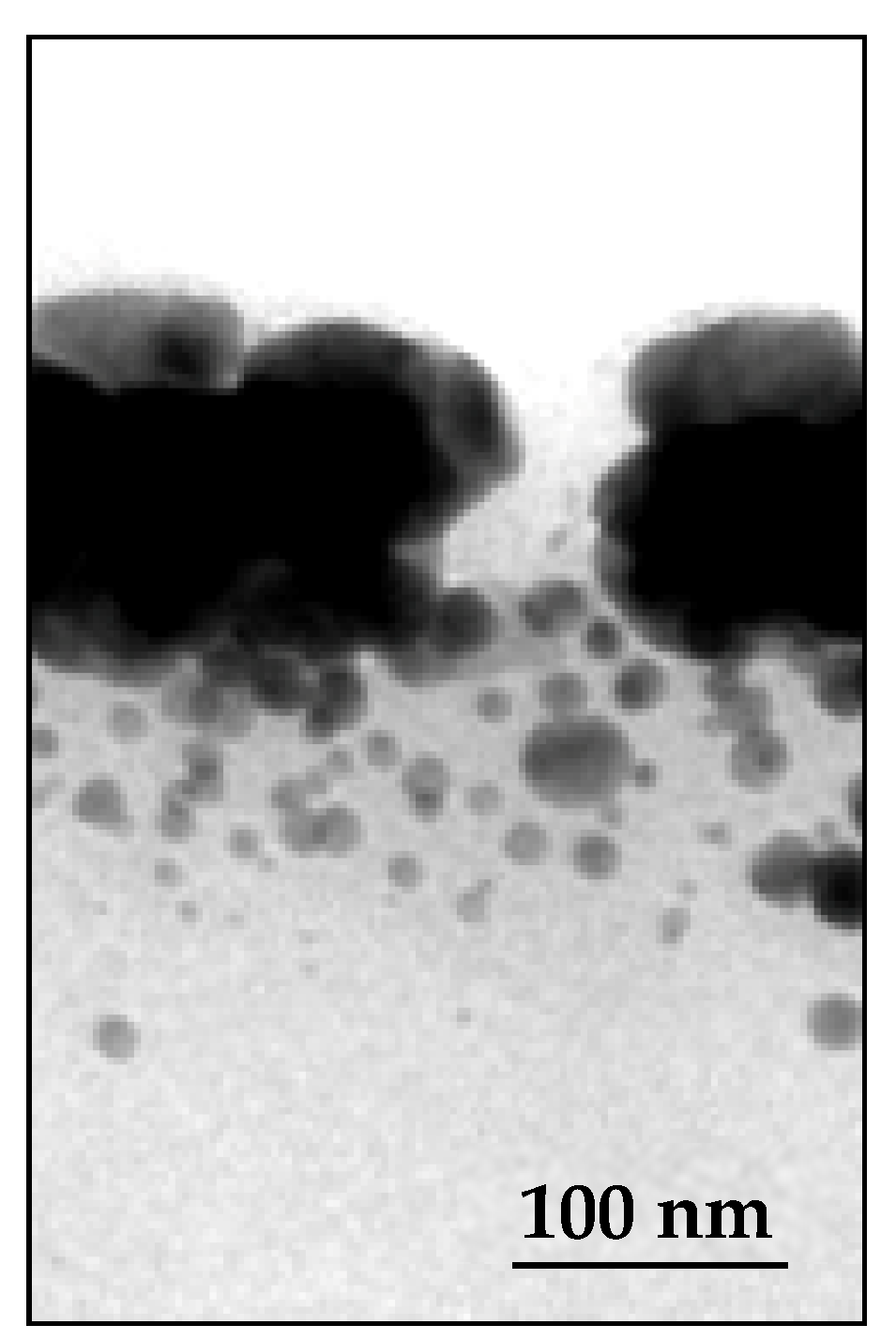 Nanomaterials 14 00193 g007