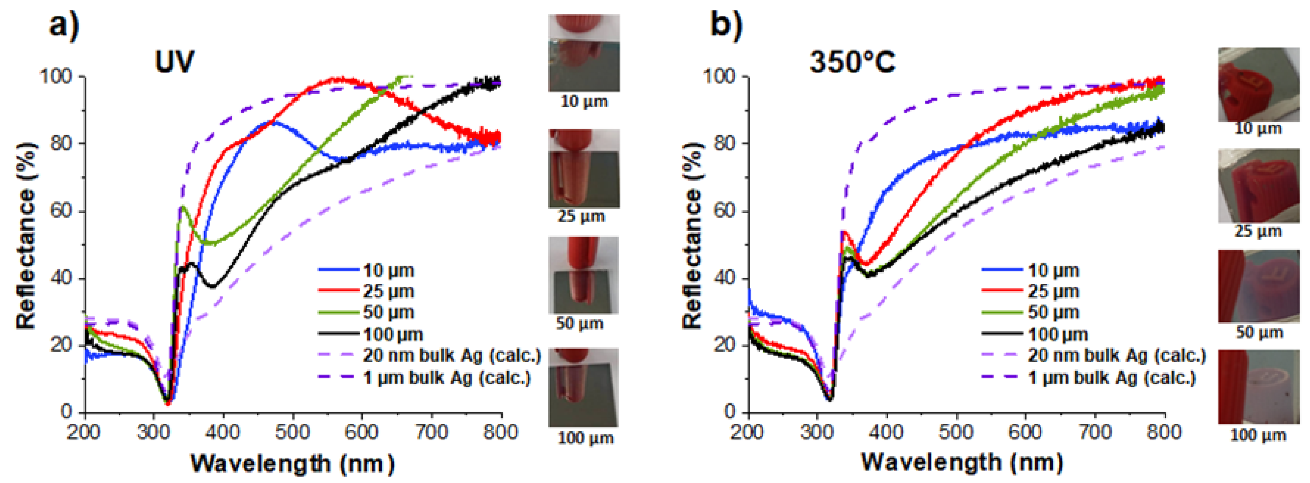 Nanomaterials 14 00193 g010