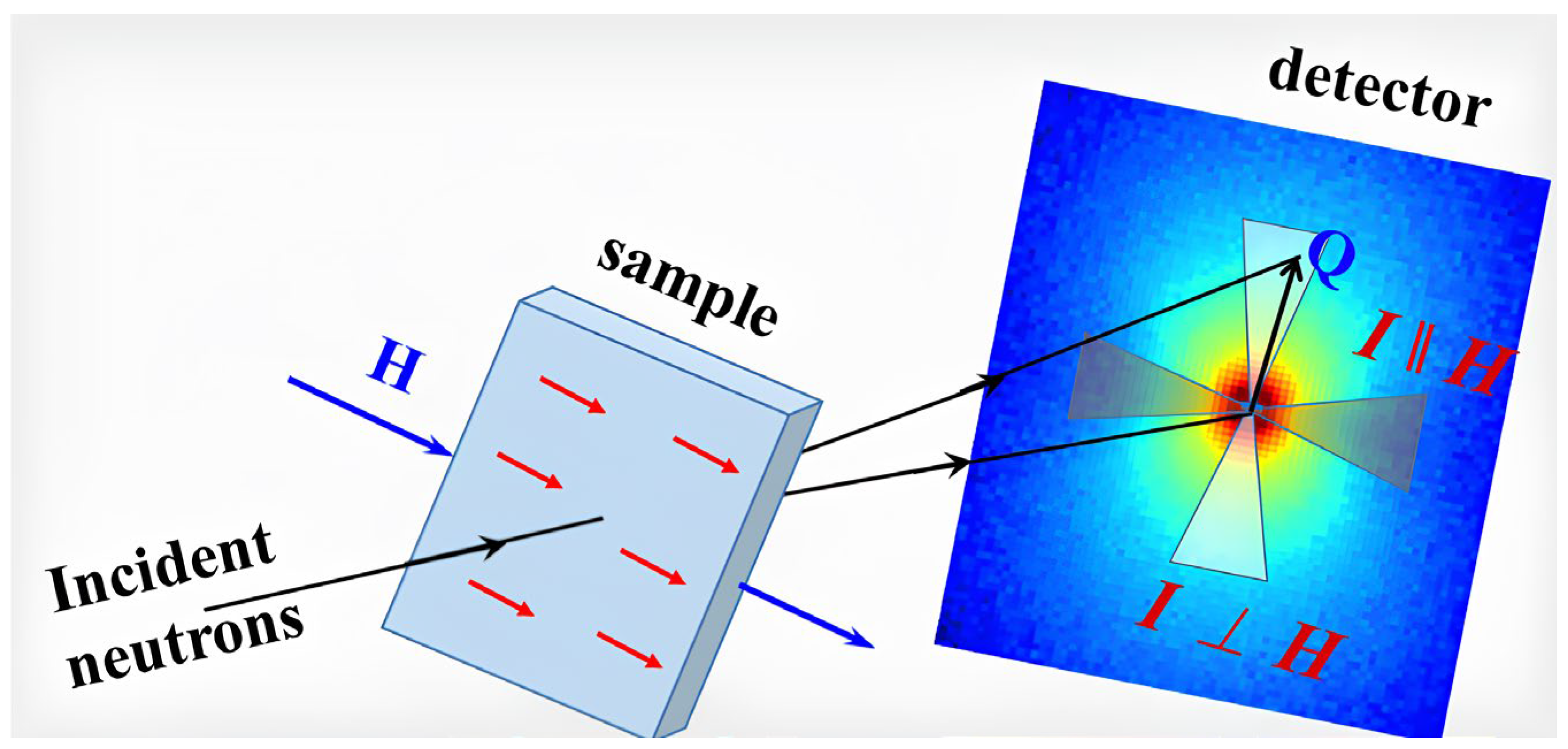 Nanomaterials 14 00194 g001
