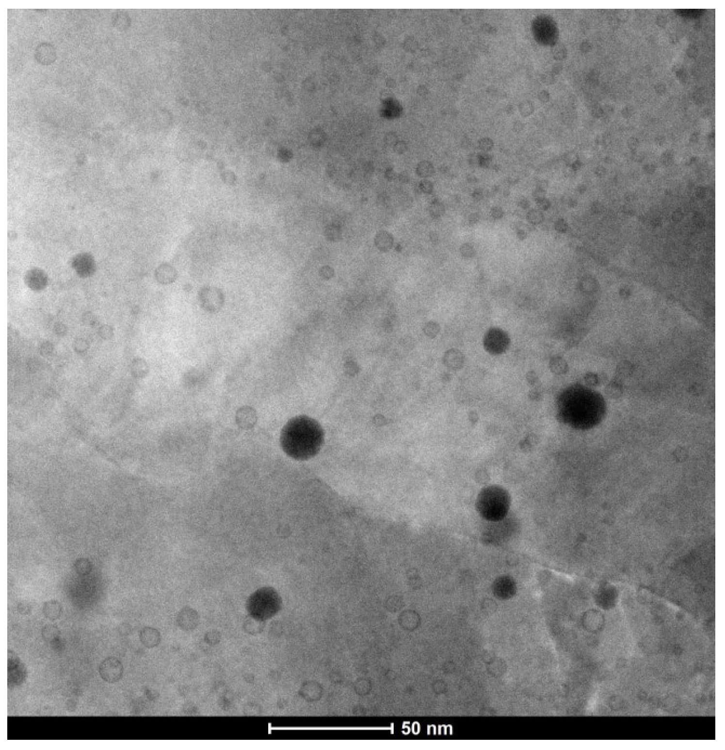 Nanomaterials 14 00194 g002