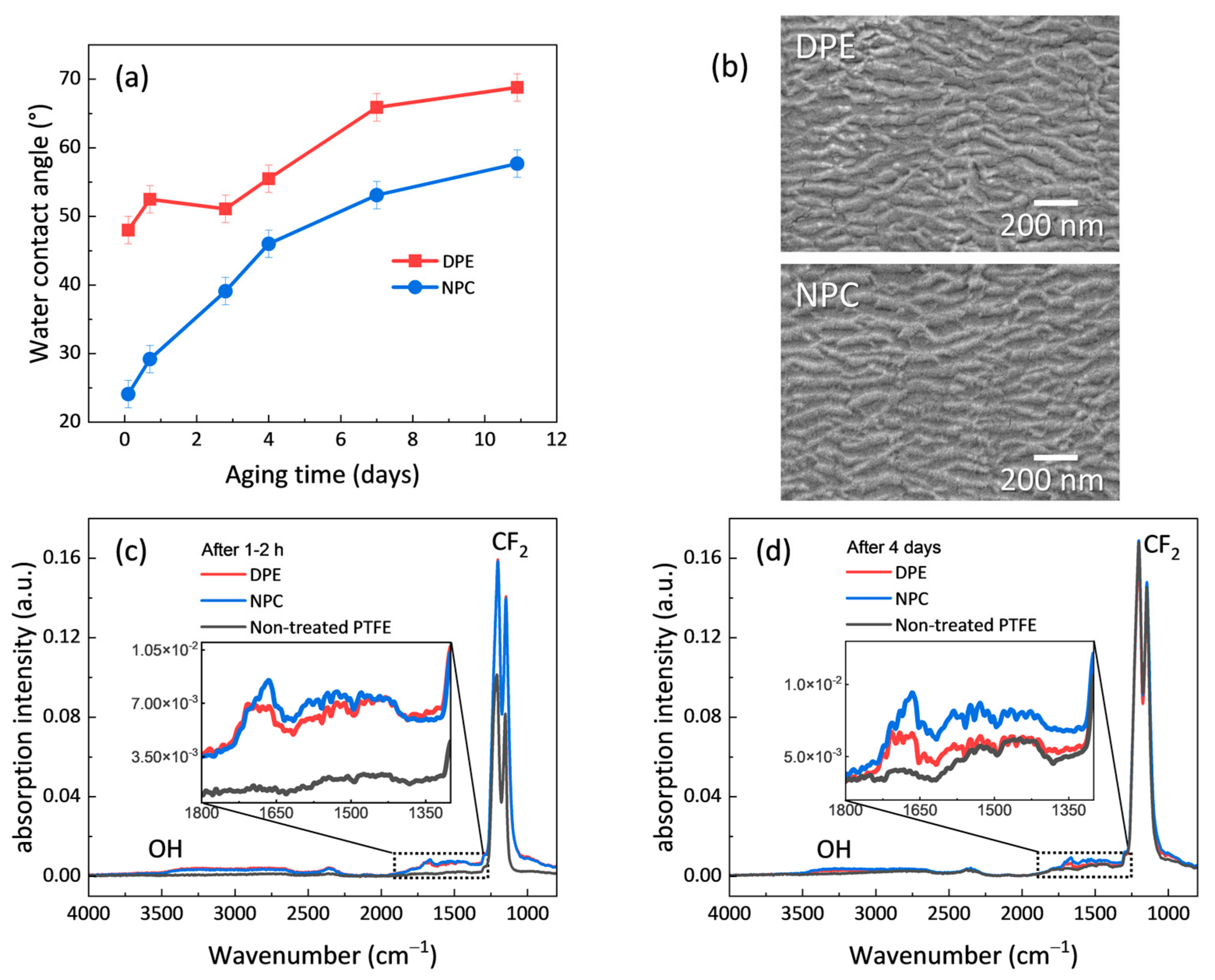 Nanomaterials 14 00195 g003