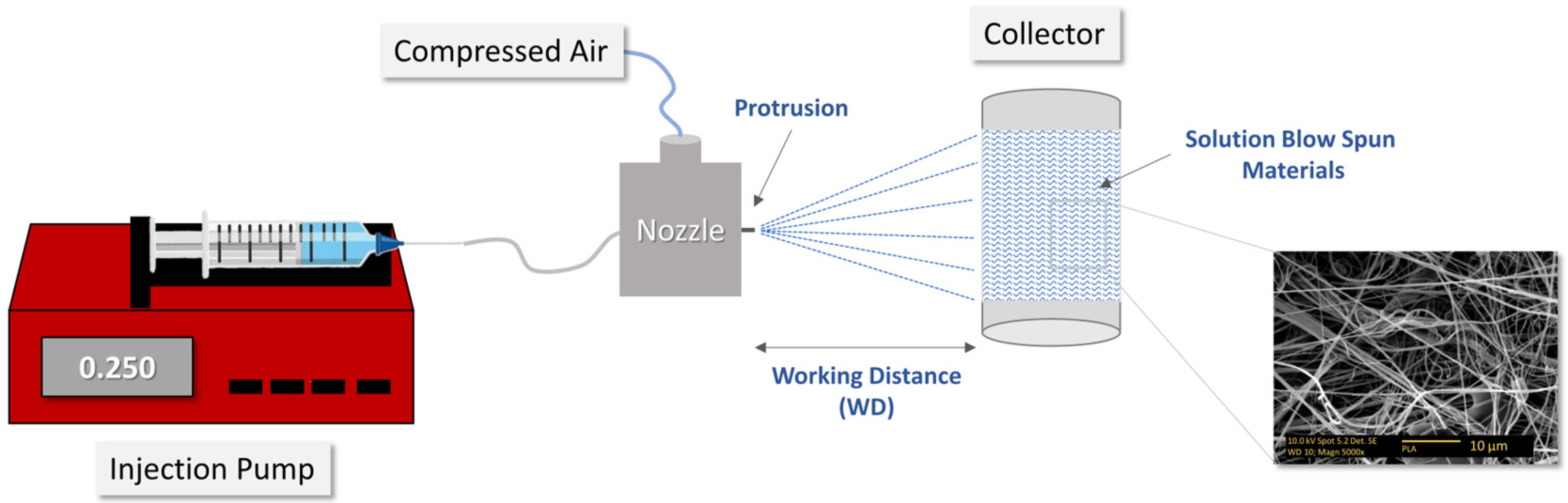Nanomaterials 14 00196 sch001