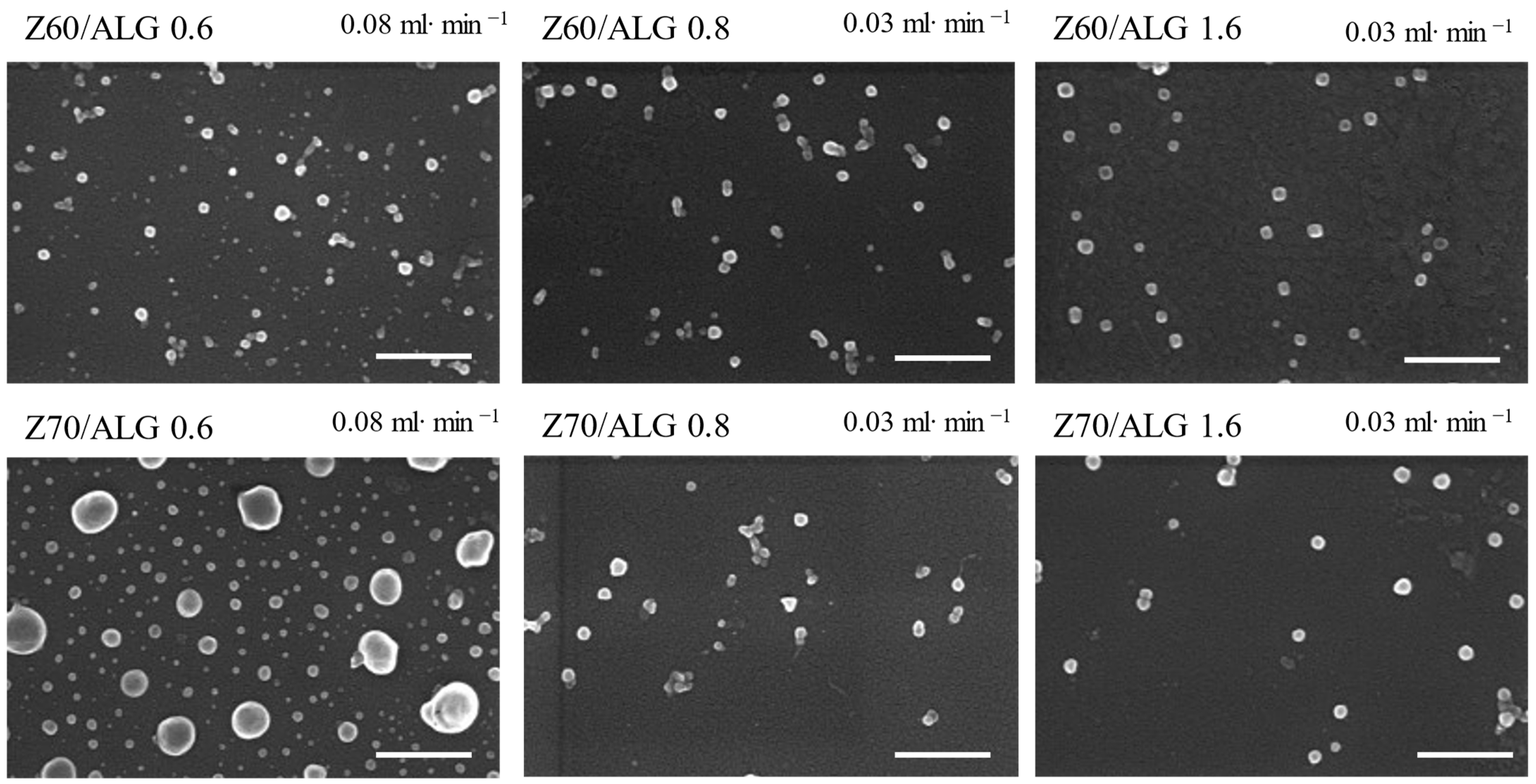 Nanomaterials 14 00197 g004