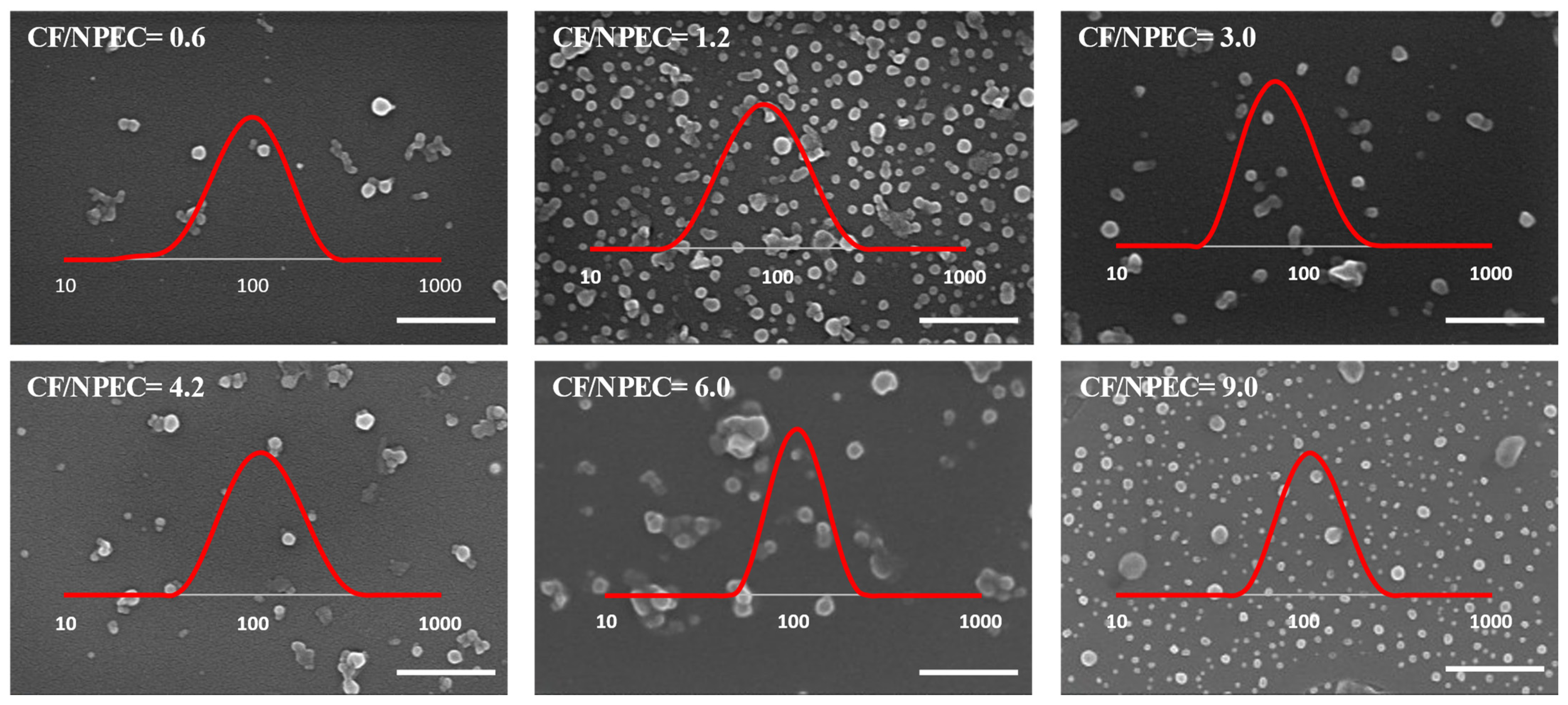 Nanomaterials 14 00197 g010
