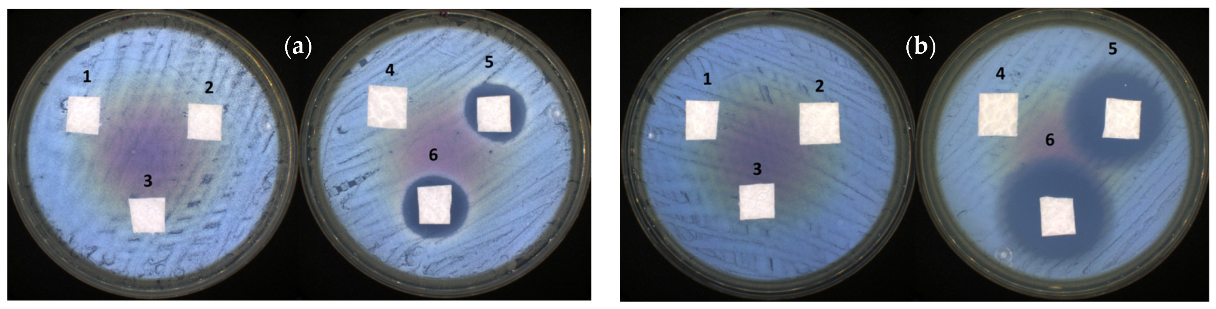Nanomaterials 14 00197 g011