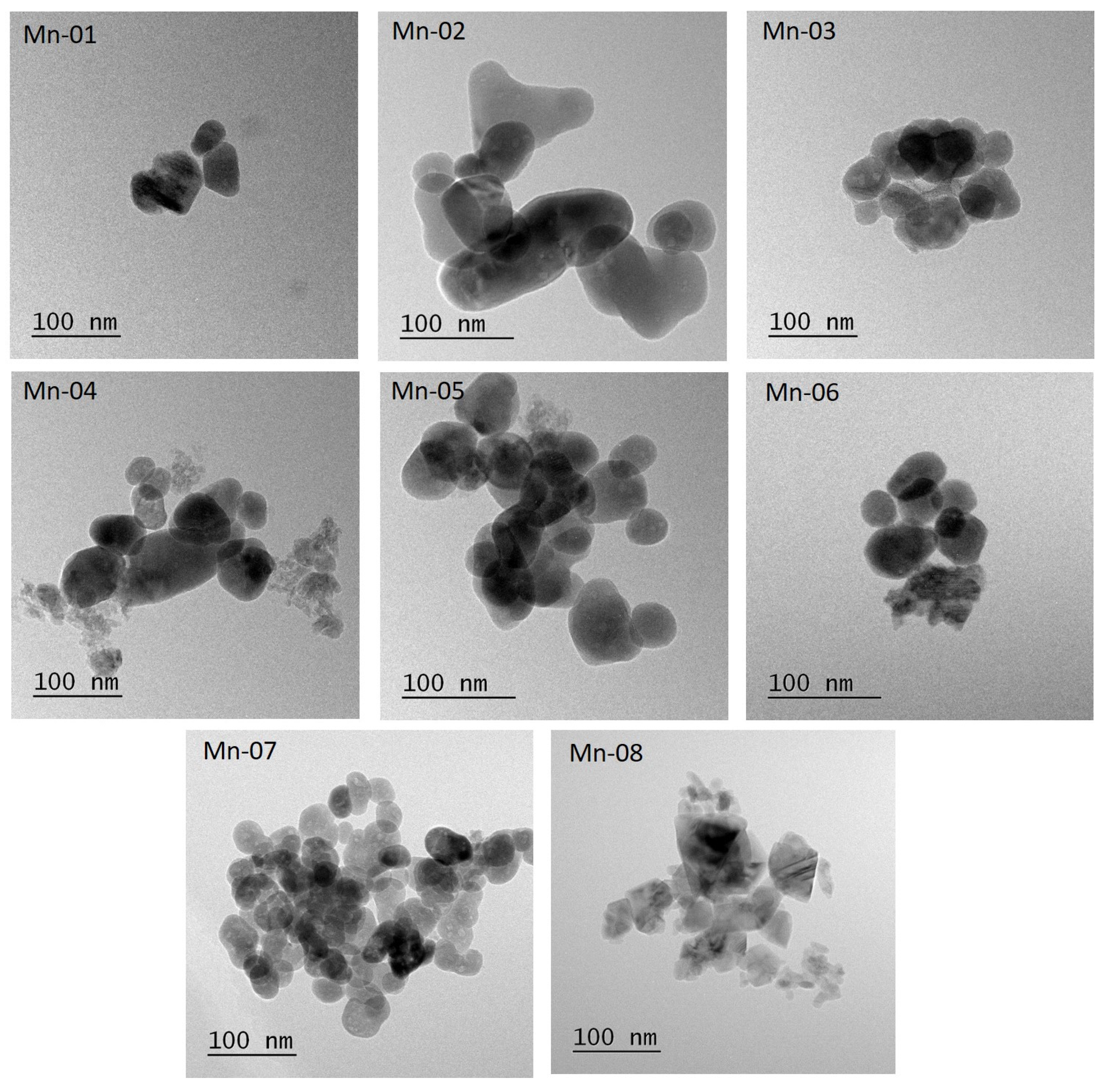 Nanomaterials 14 00198 g001
