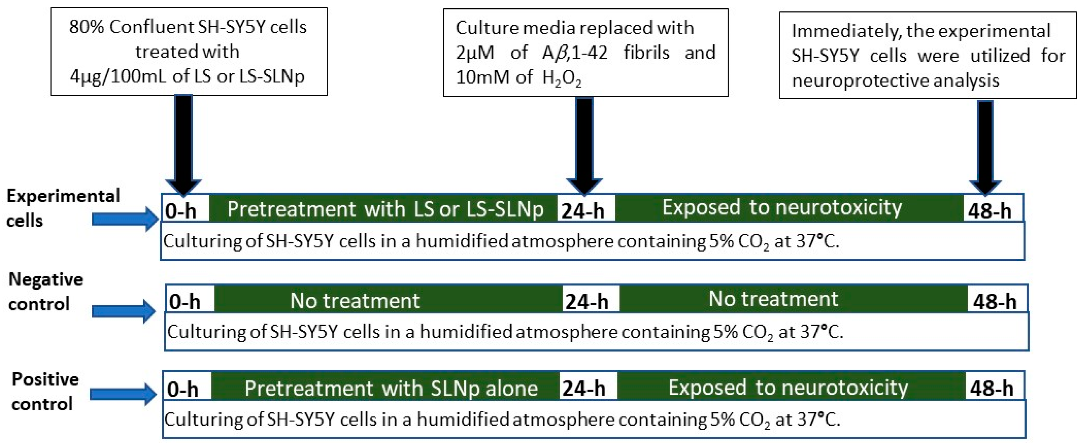 Nanomaterials 14 00199 g001