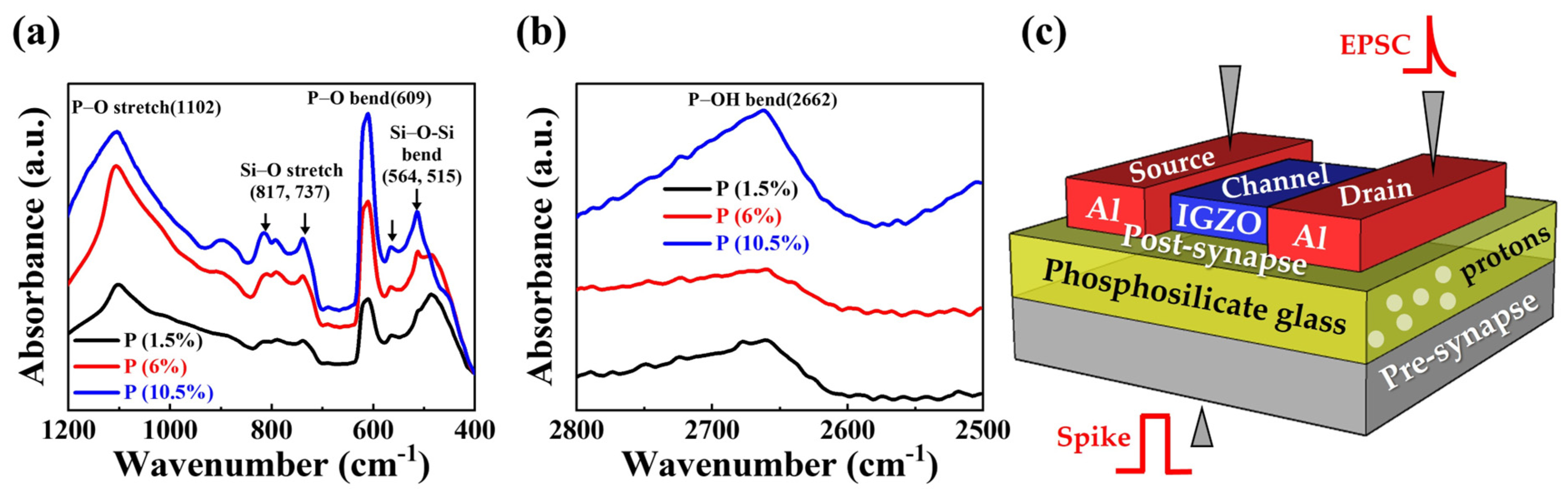 Nanomaterials 14 00203 g002