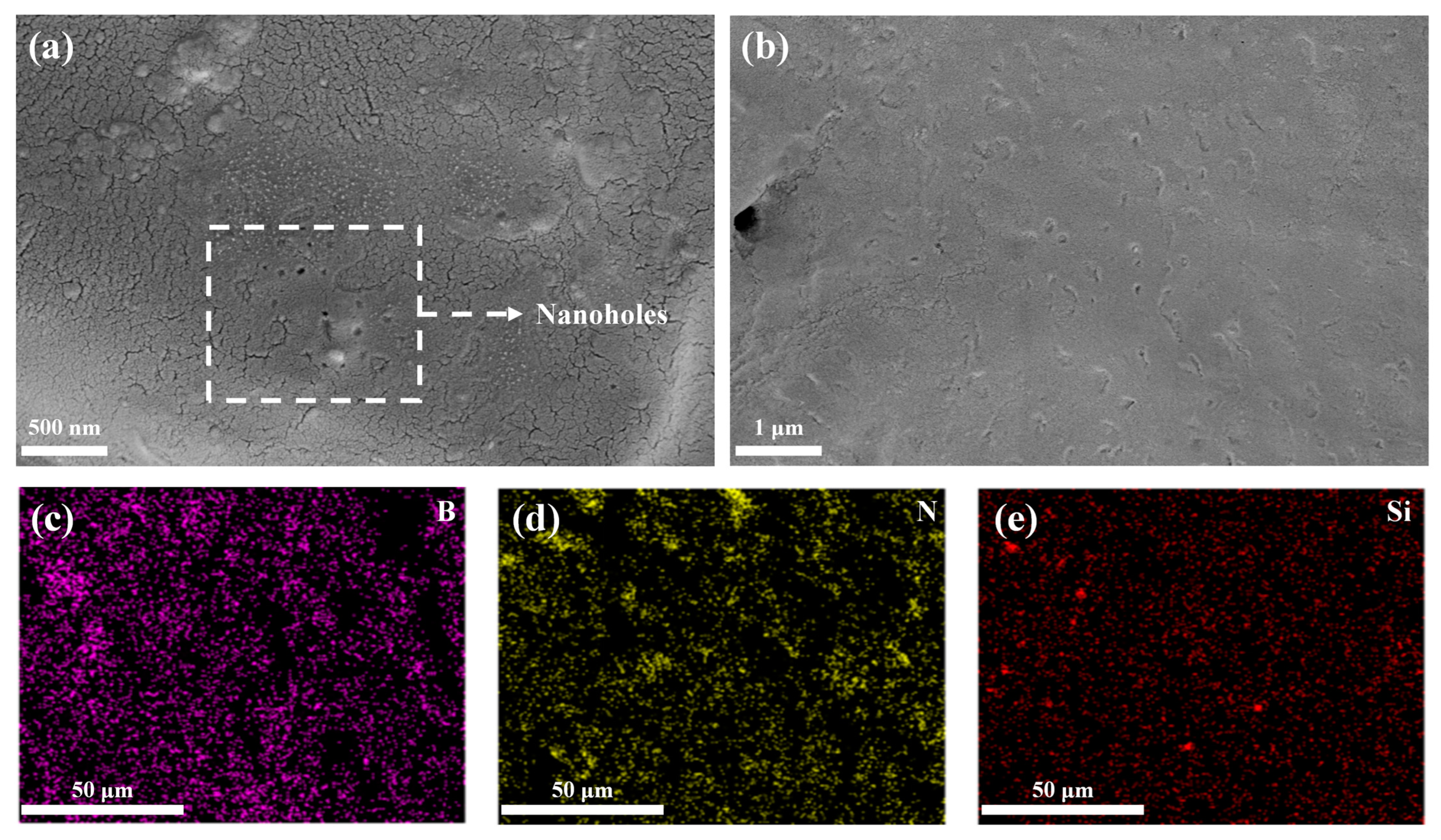 Nanomaterials 14 00205 g003
