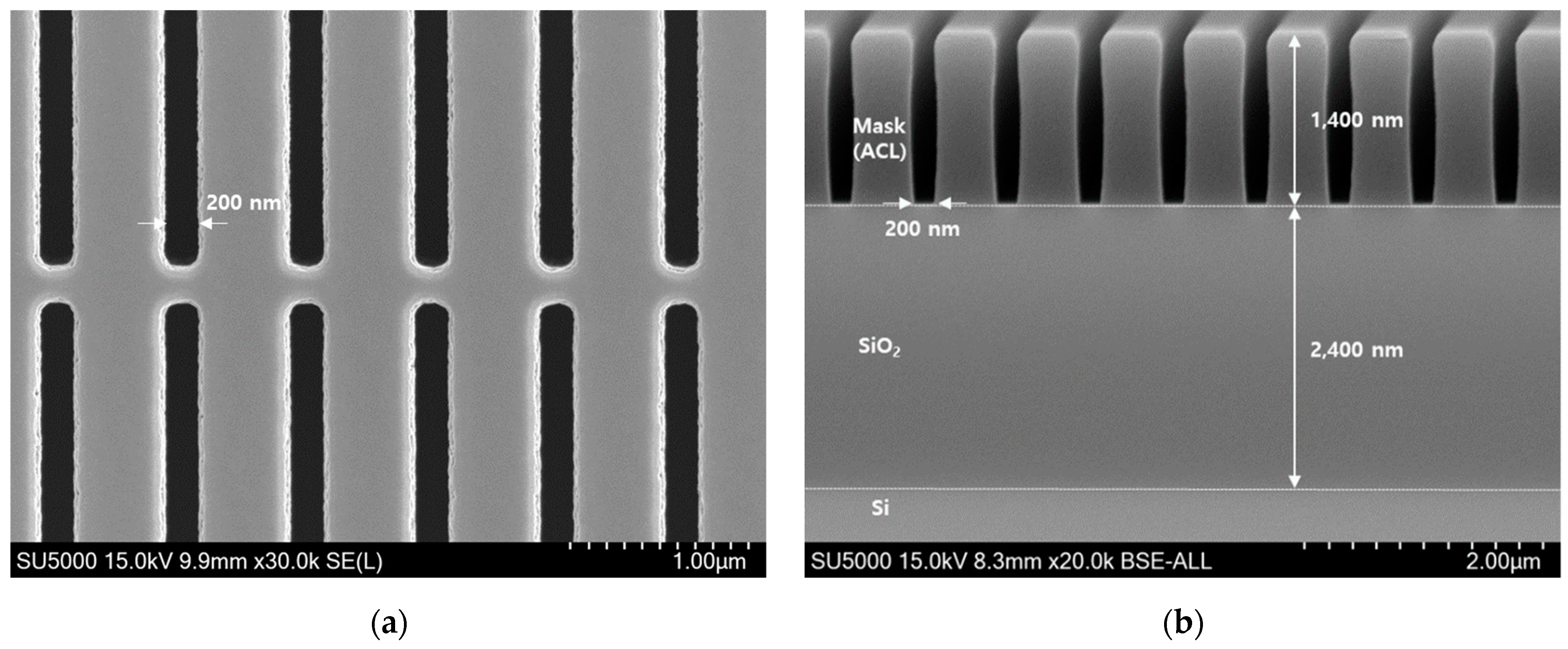 Nanomaterials 14 00209 g002
