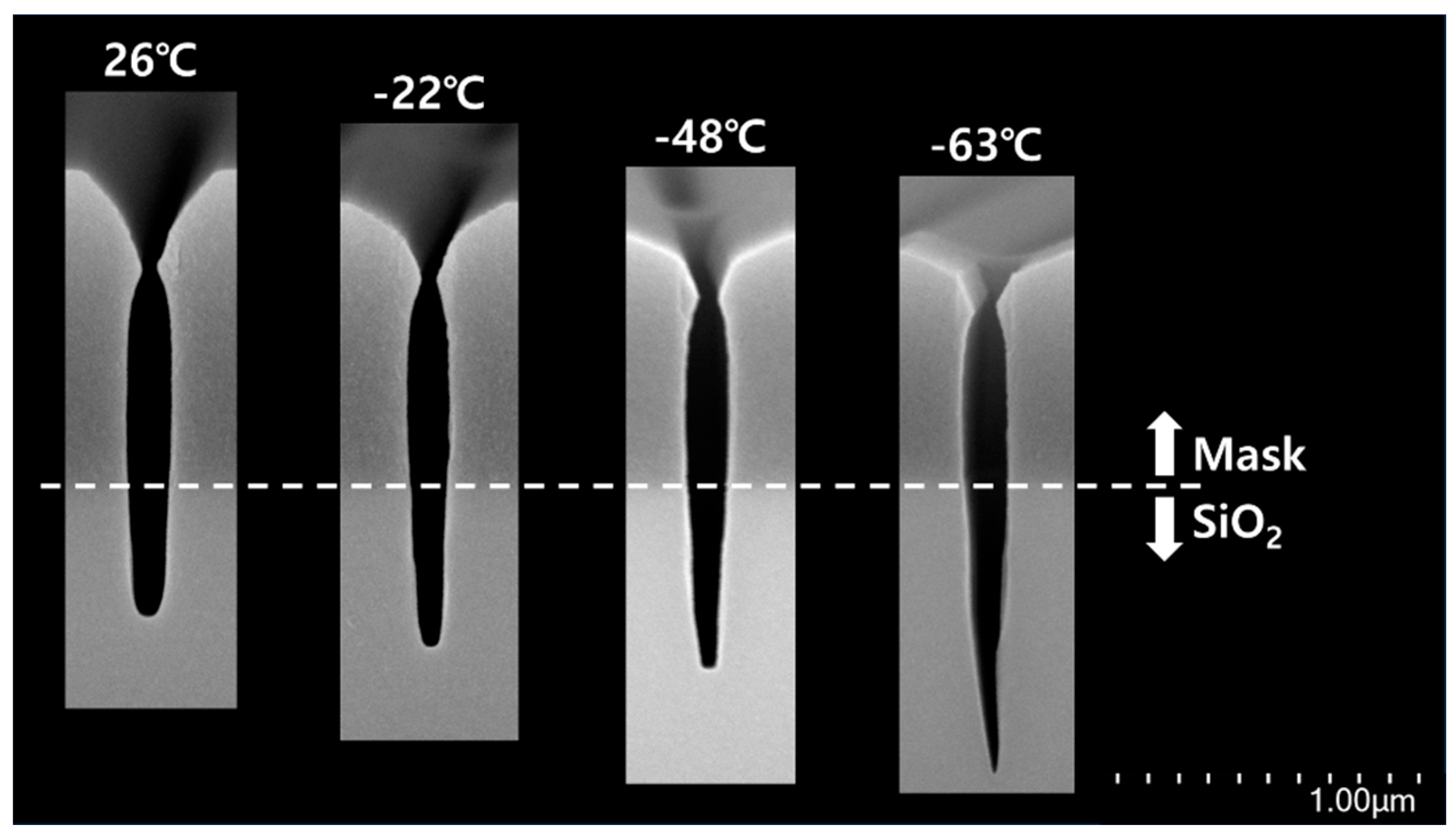 Nanomaterials 14 00209 g004
