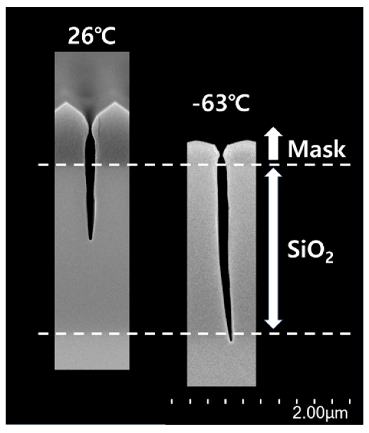 Nanomaterials 14 00209 g011
