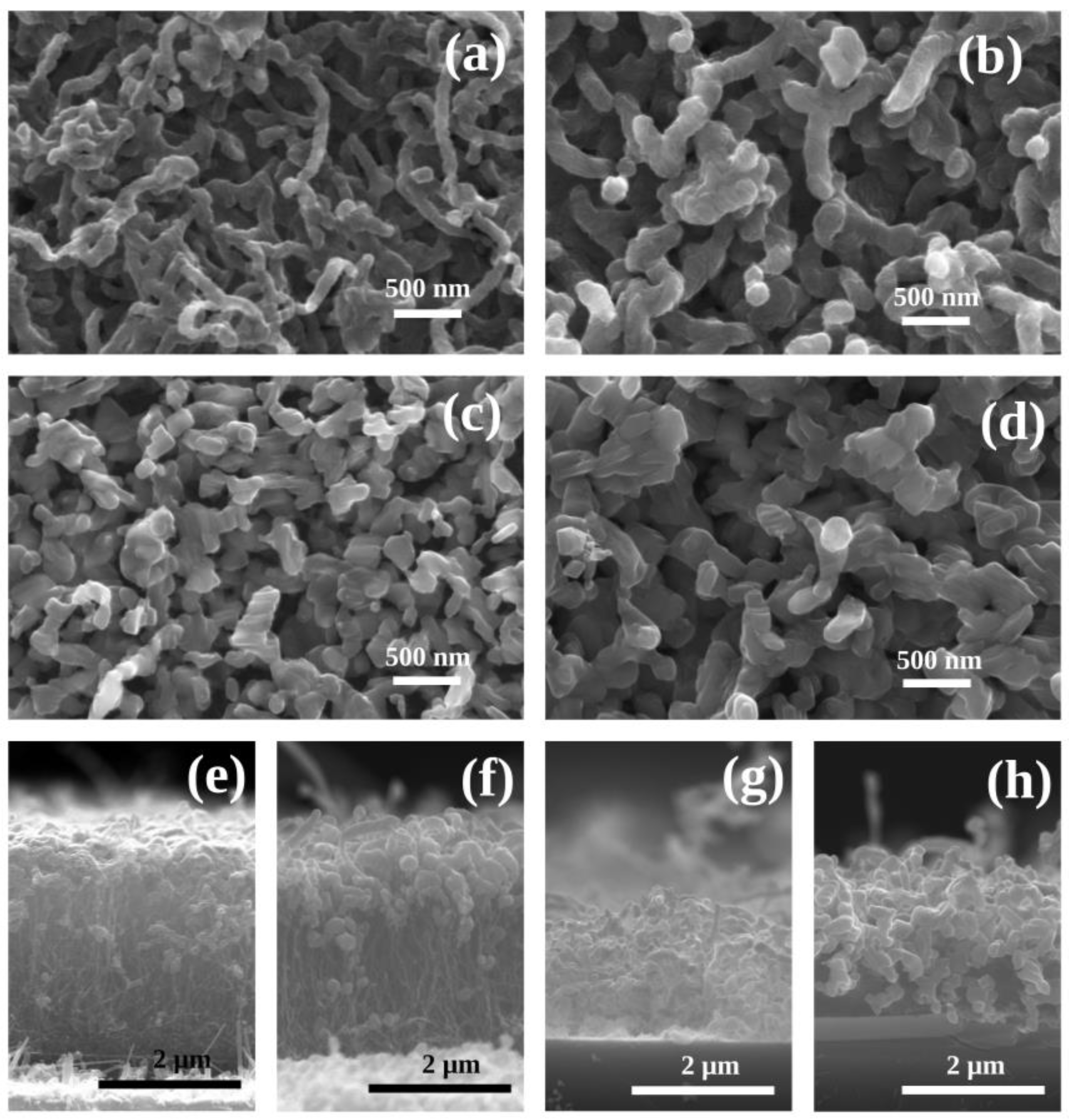 Nanomaterials 14 00211 g002