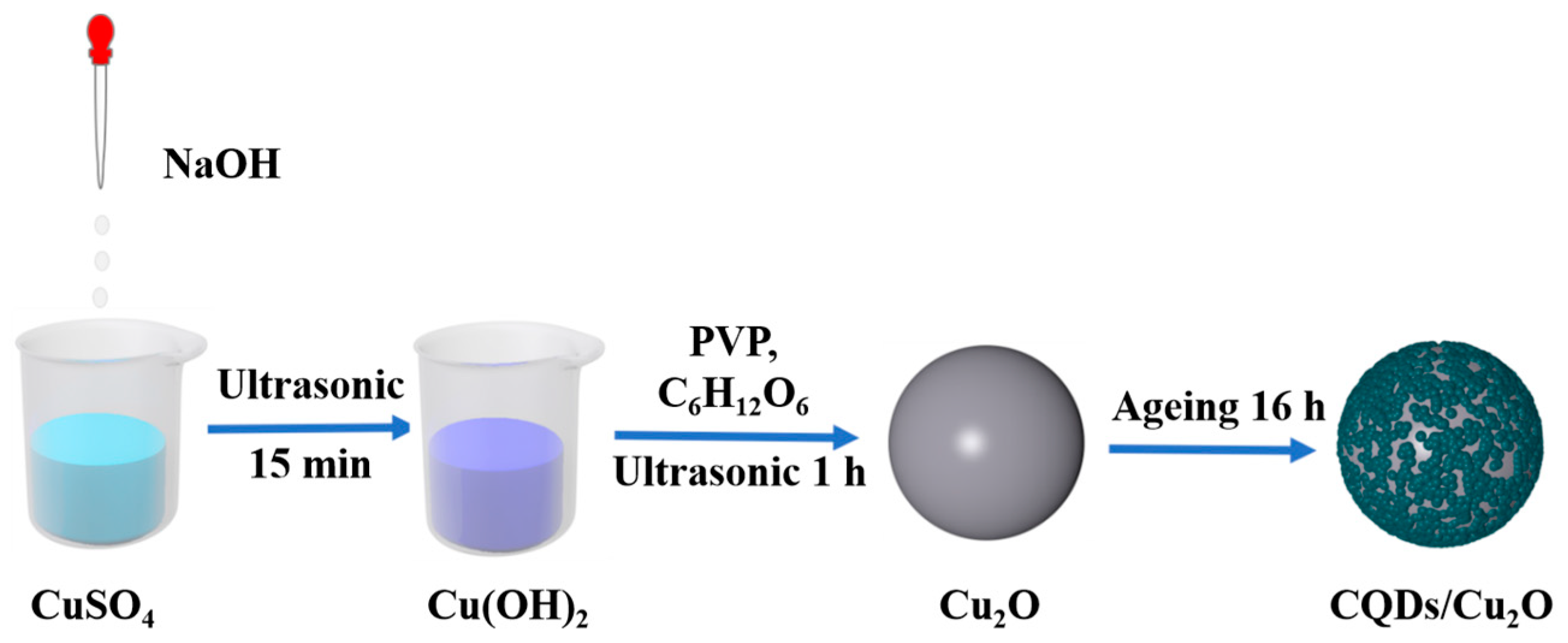 Nanomaterials 14 00212 g001