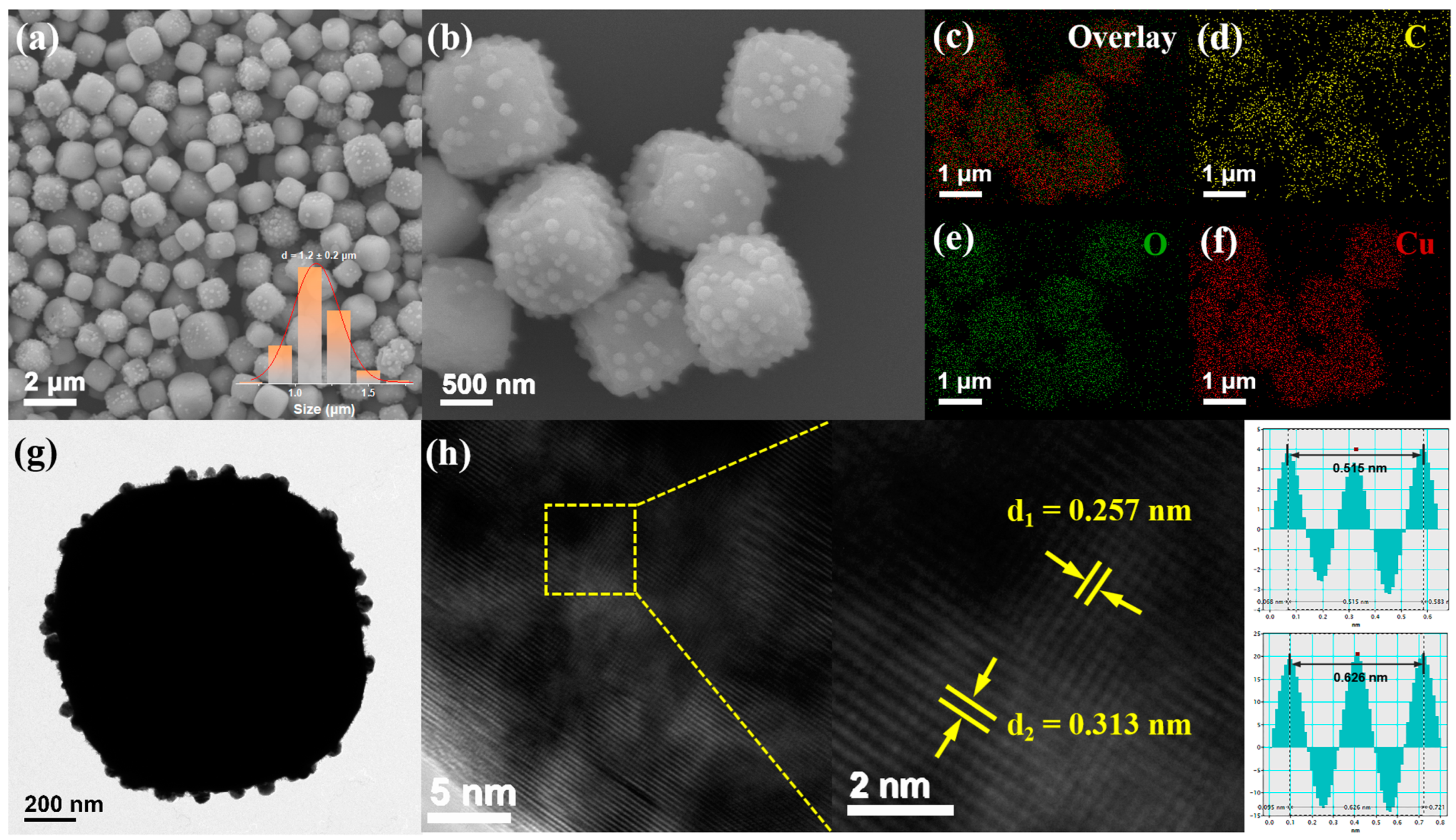Nanomaterials 14 00212 g003