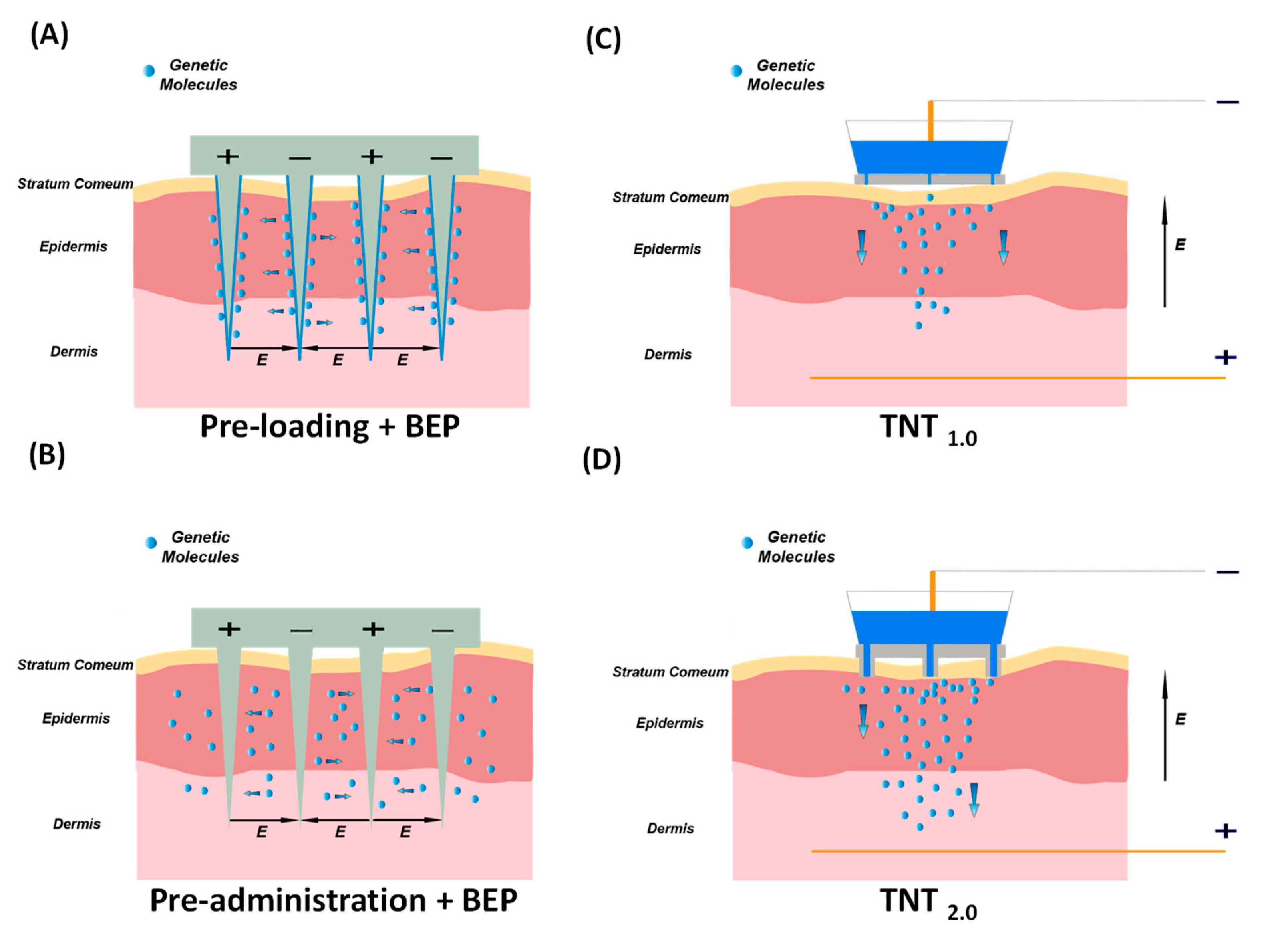 Nanomaterials 14 00217 g002