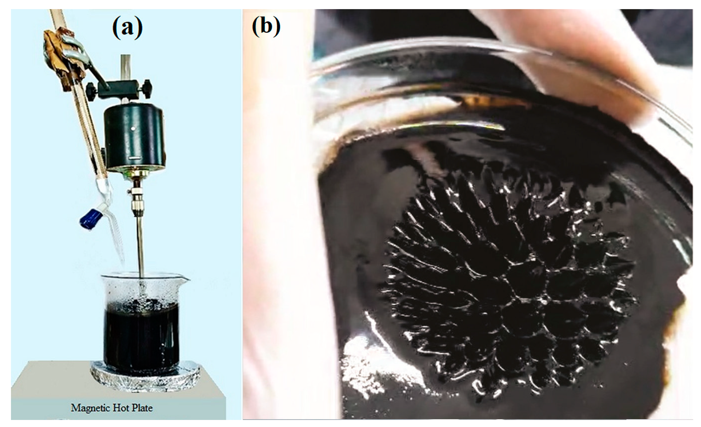 Nanomaterials 14 00218 g001 Nanomaterials 14 00218 g001