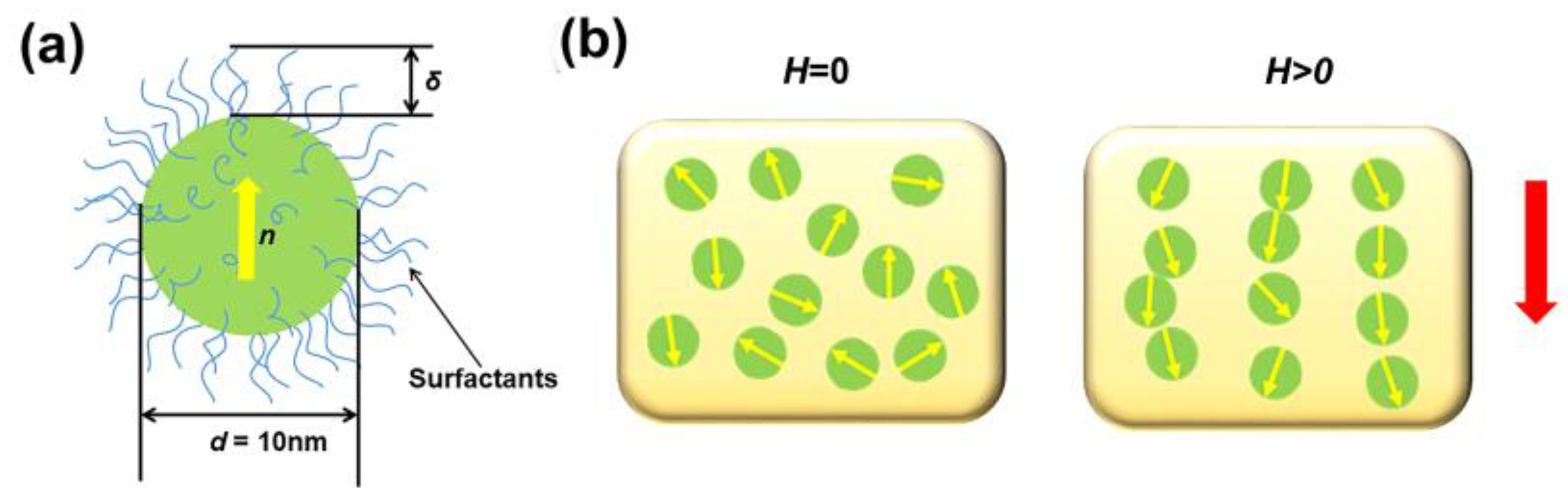 Nanomaterials 14 00221 g001