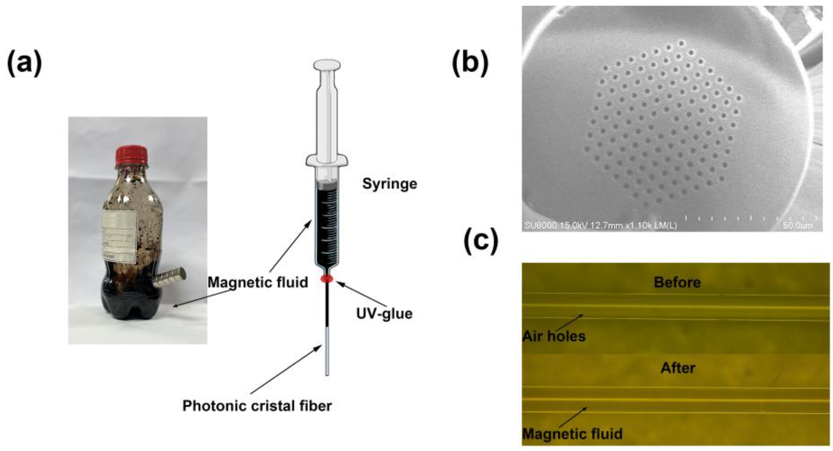 Nanomaterials 14 00221 g002