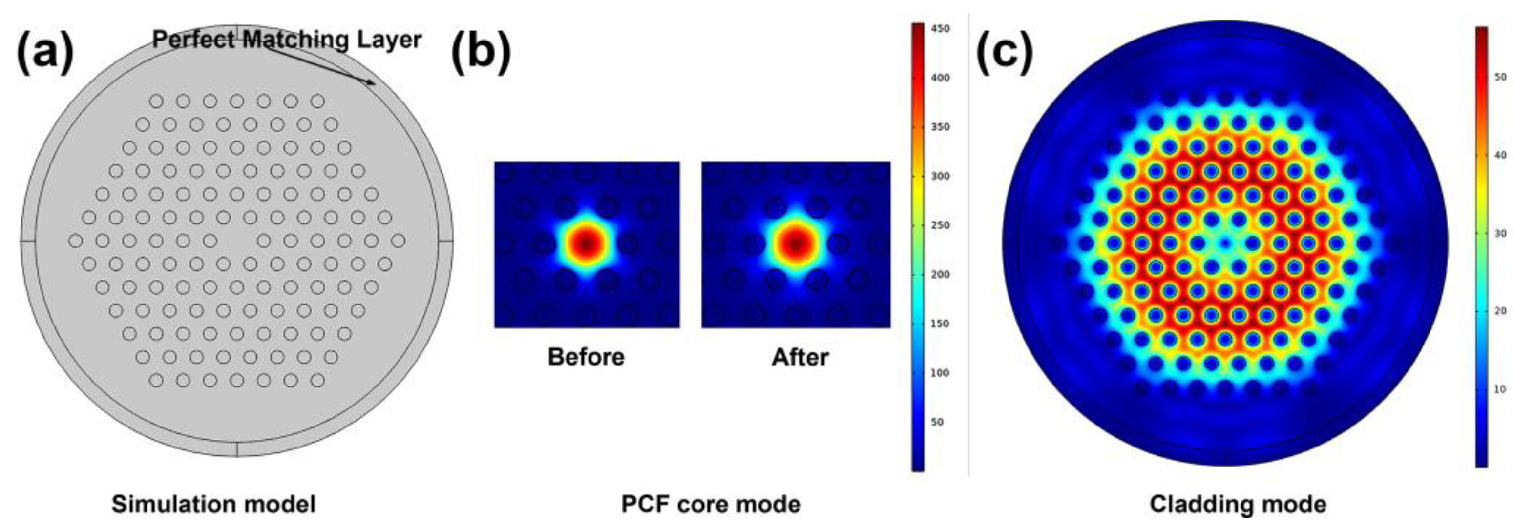 Nanomaterials 14 00221 g003