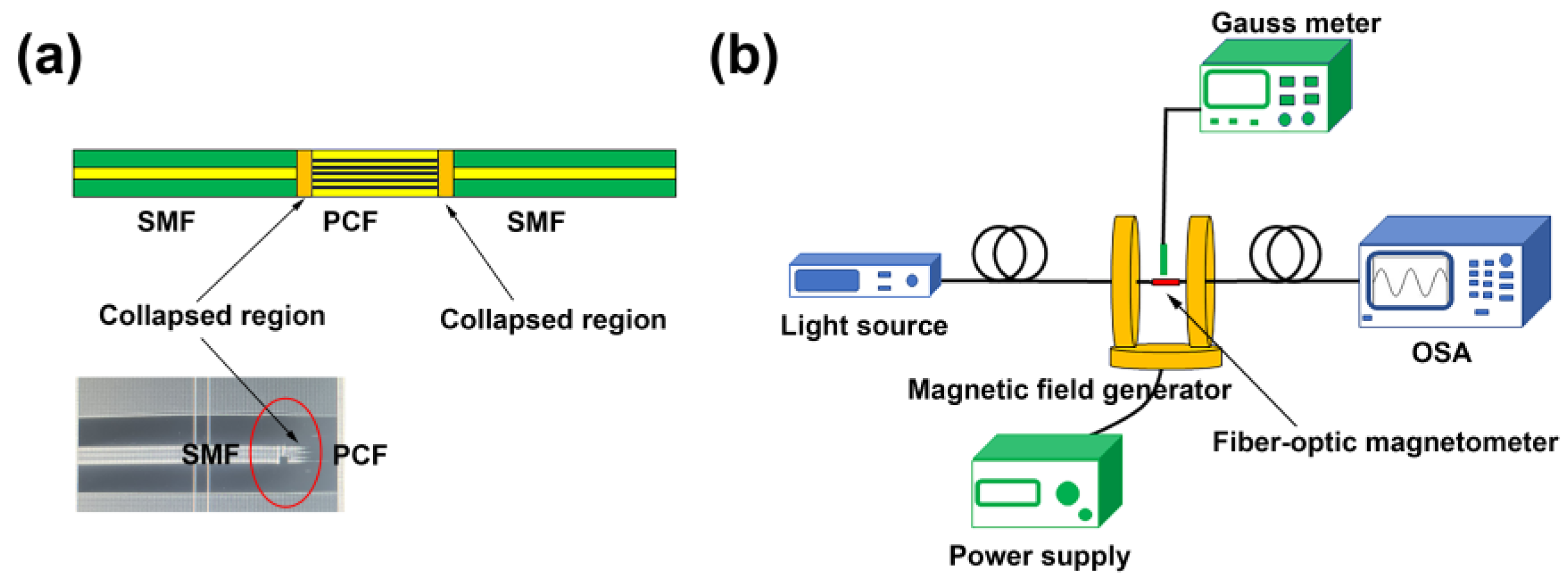 Nanomaterials 14 00221 g004