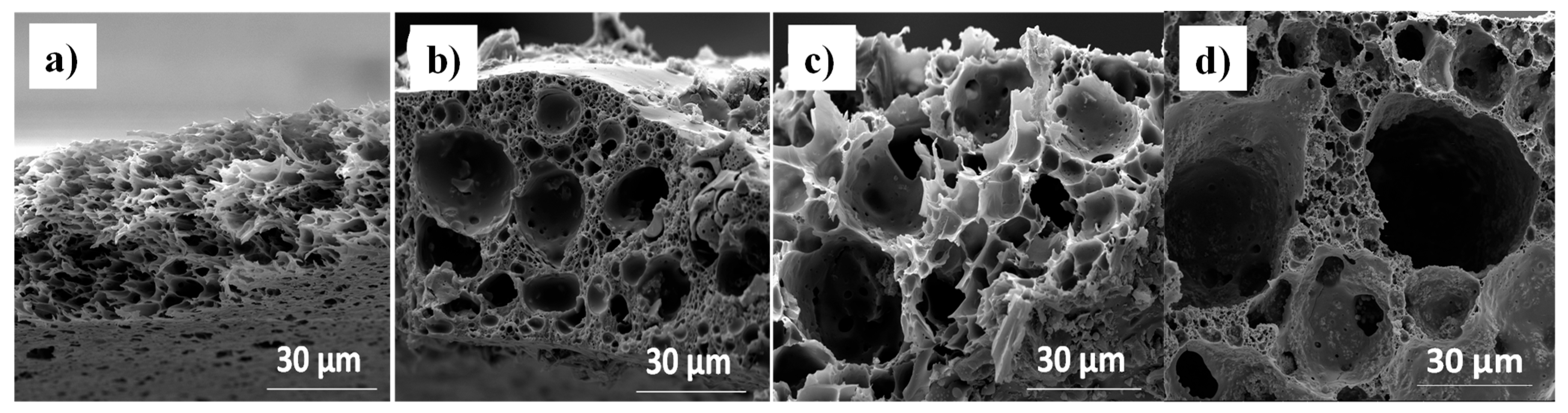 Nanomaterials 14 00224 g007 Nanomaterials 14 00224 g007