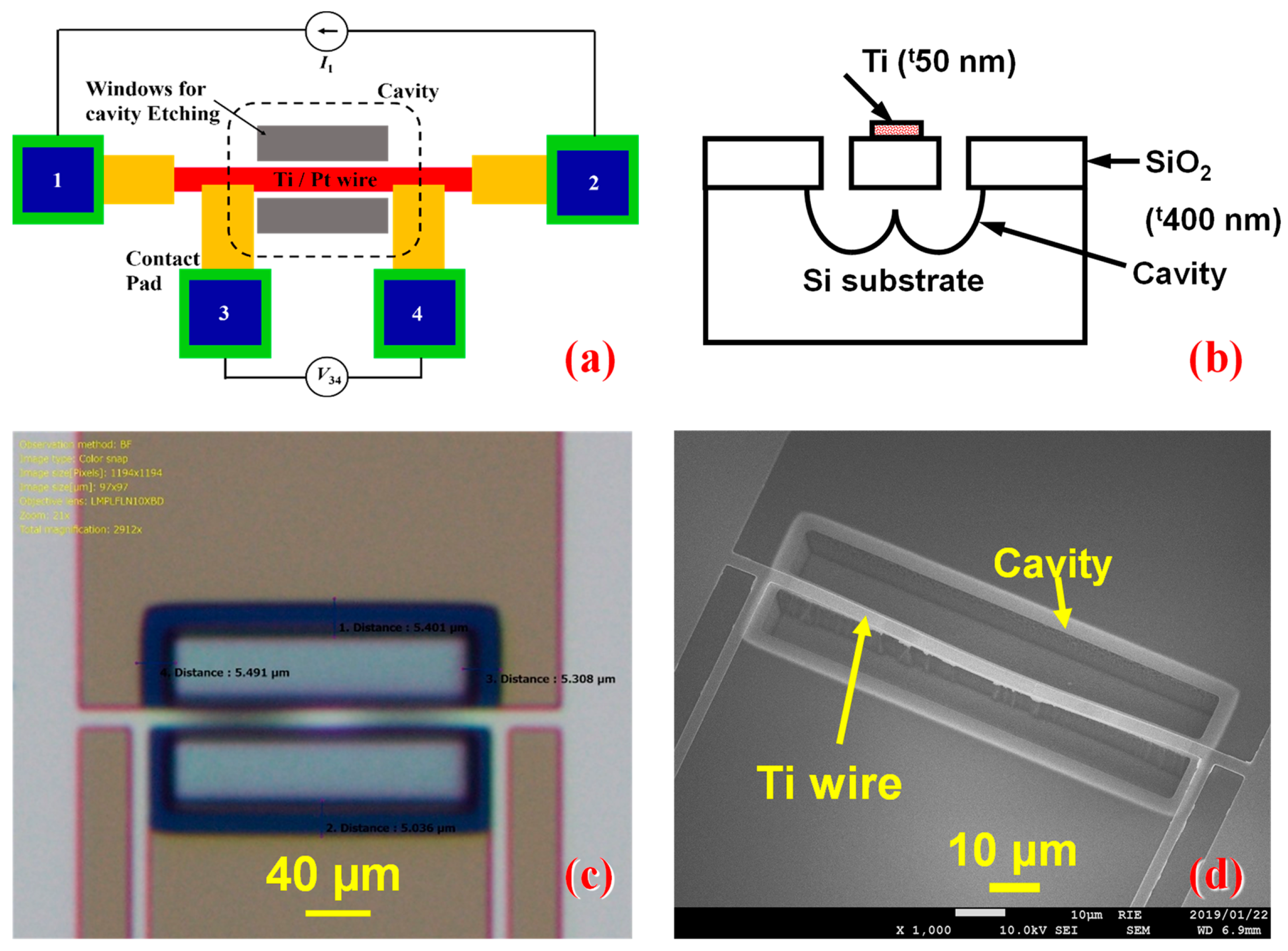 Nanomaterials 14 00225 g001
