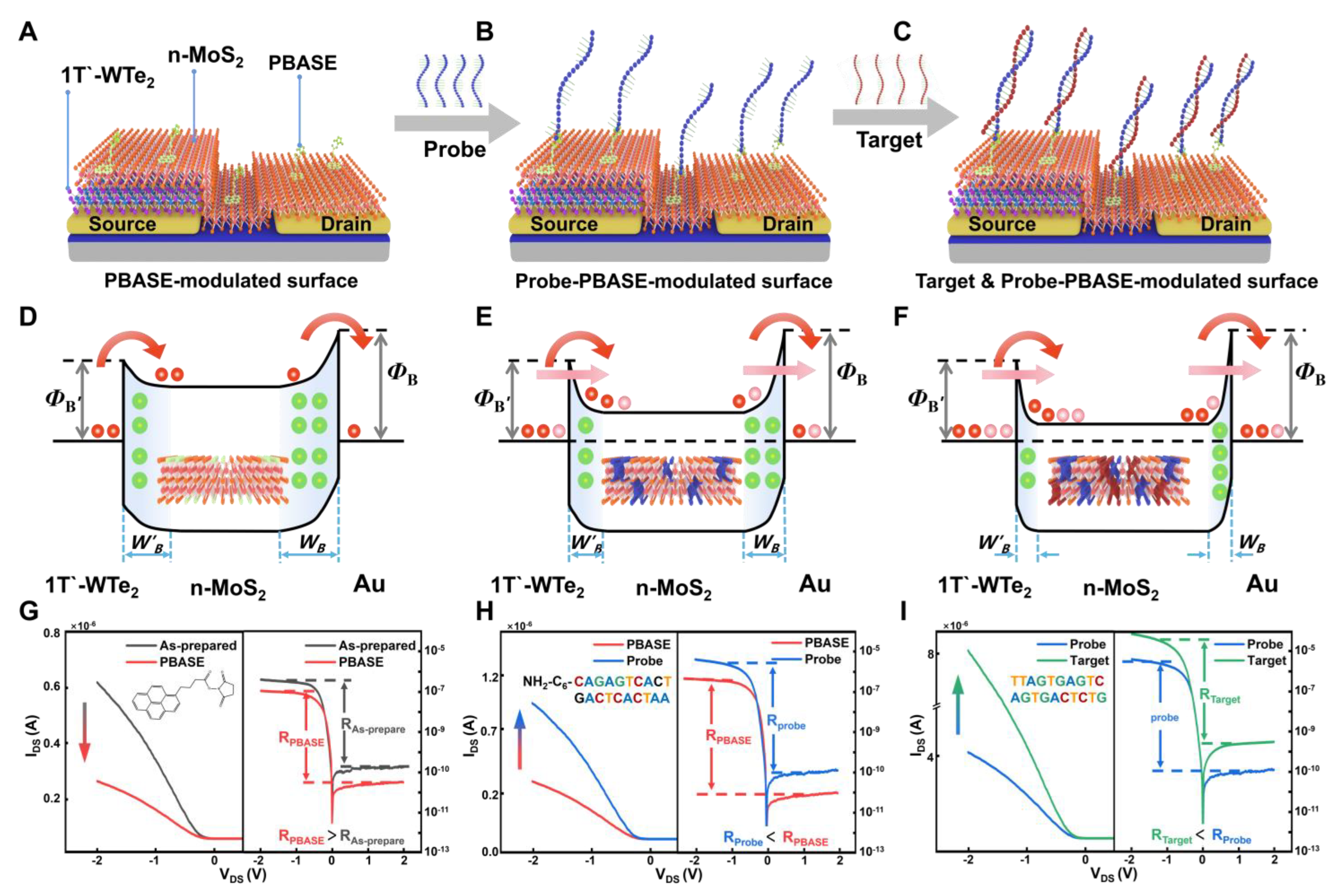 Nanomaterials 14 00226 g002