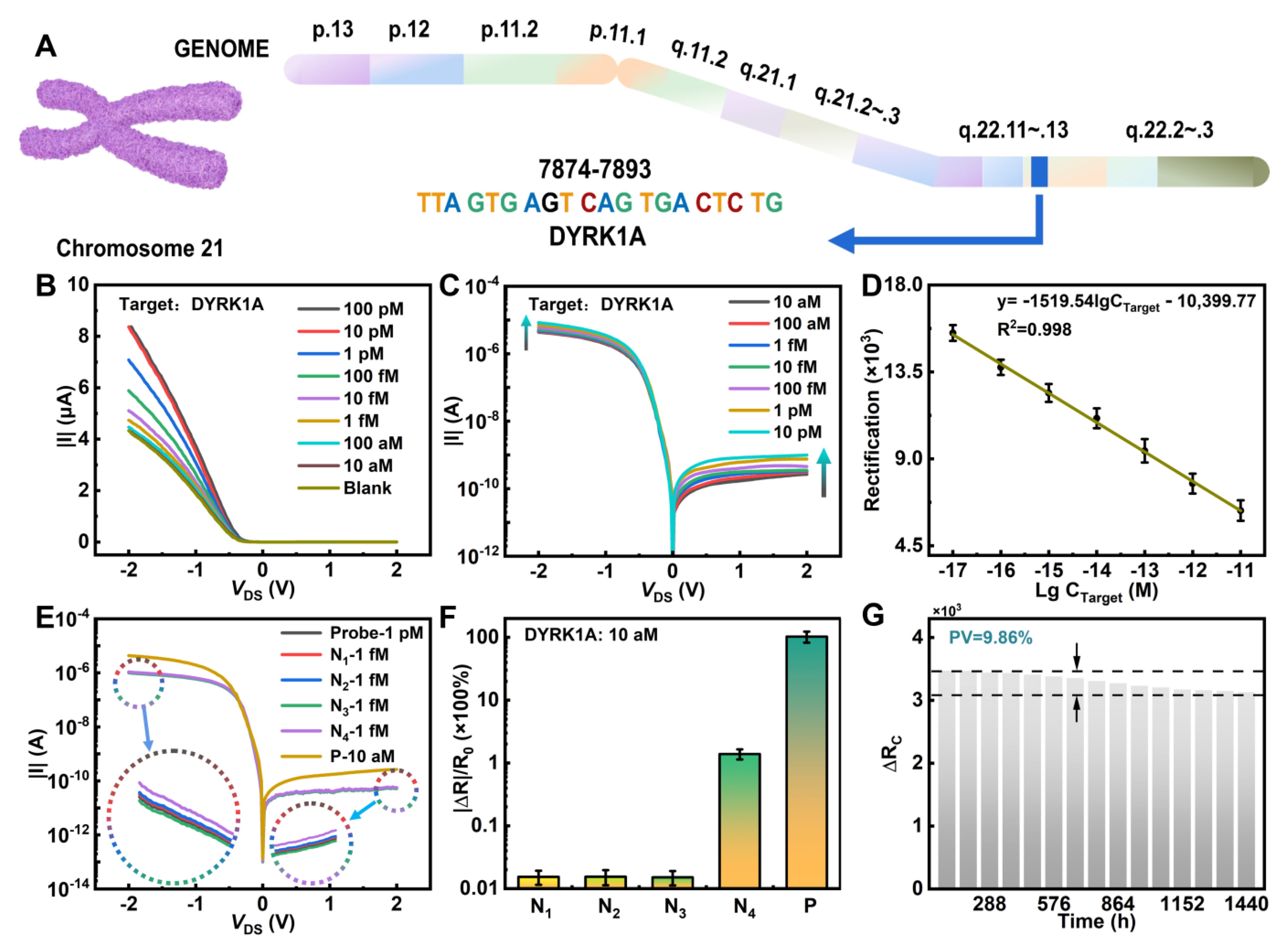Nanomaterials 14 00226 g004