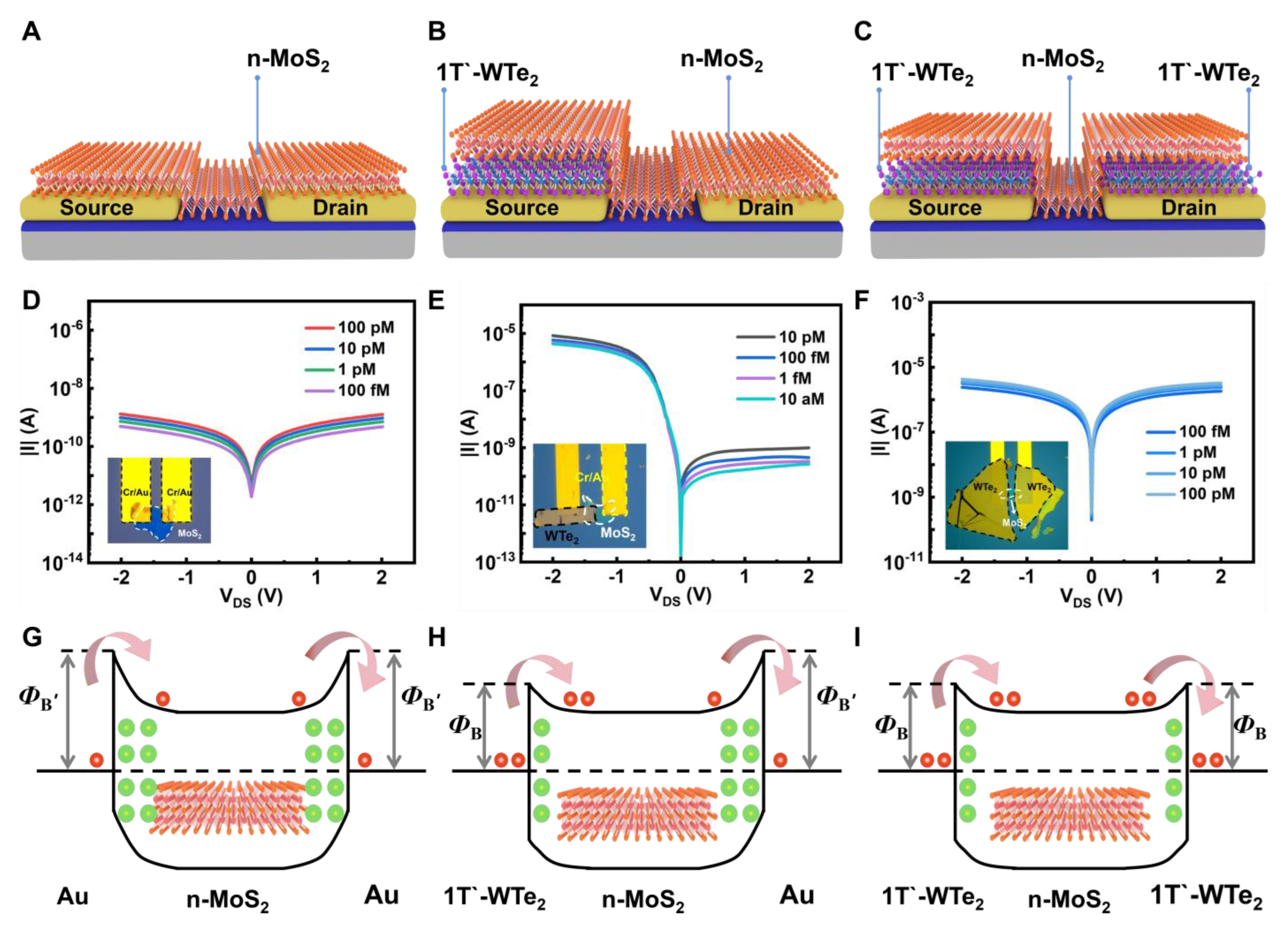 Nanomaterials 14 00226 g005