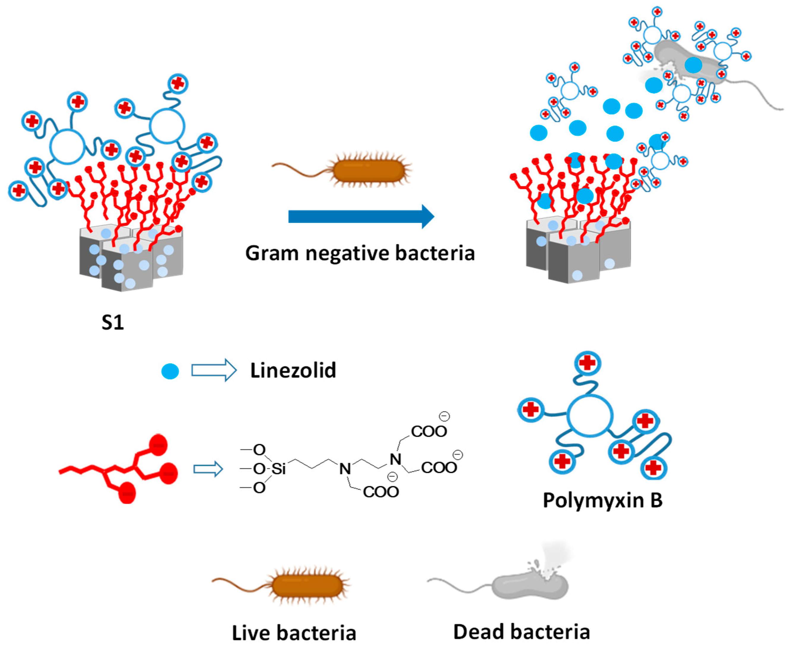 Nanomaterials 14 00228 sch001