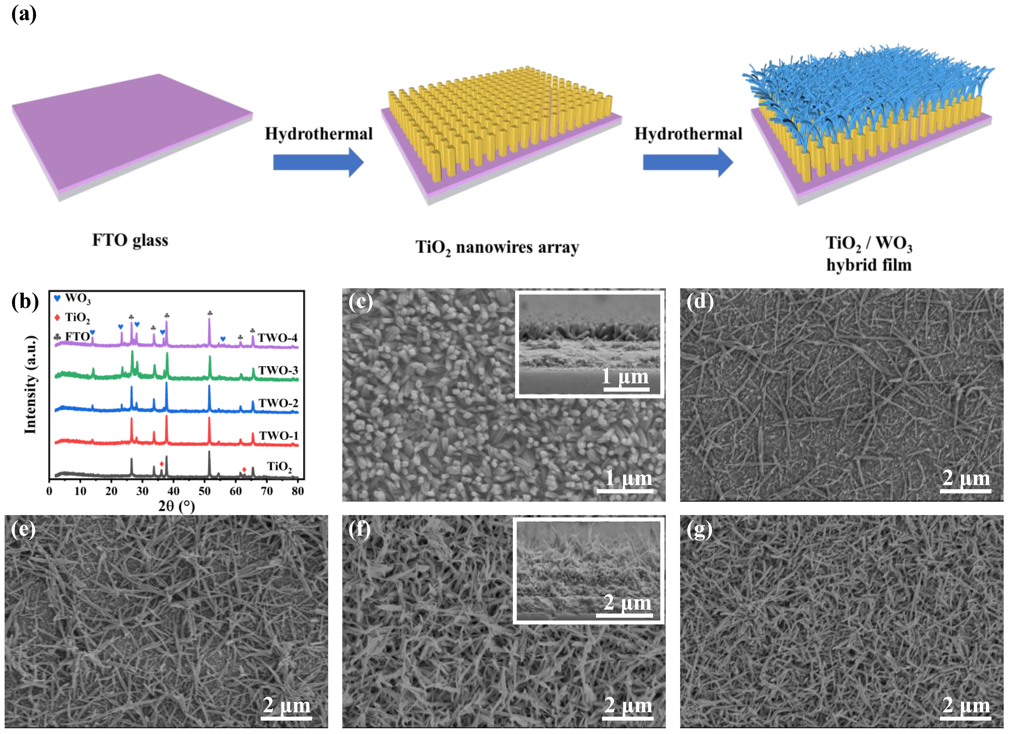 Nanomaterials 14 00229 g001