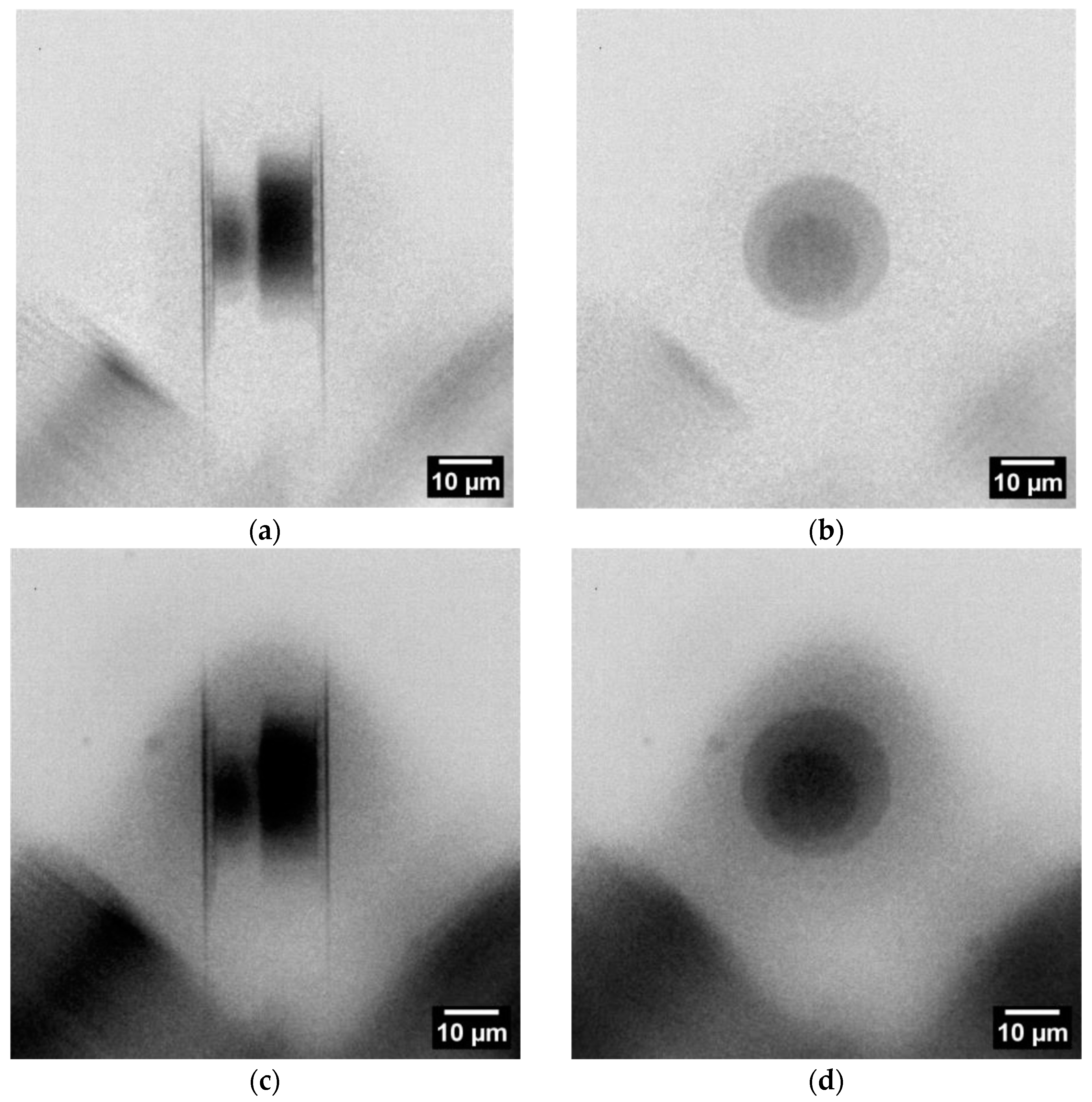 Nanomaterials 14 00233 g004