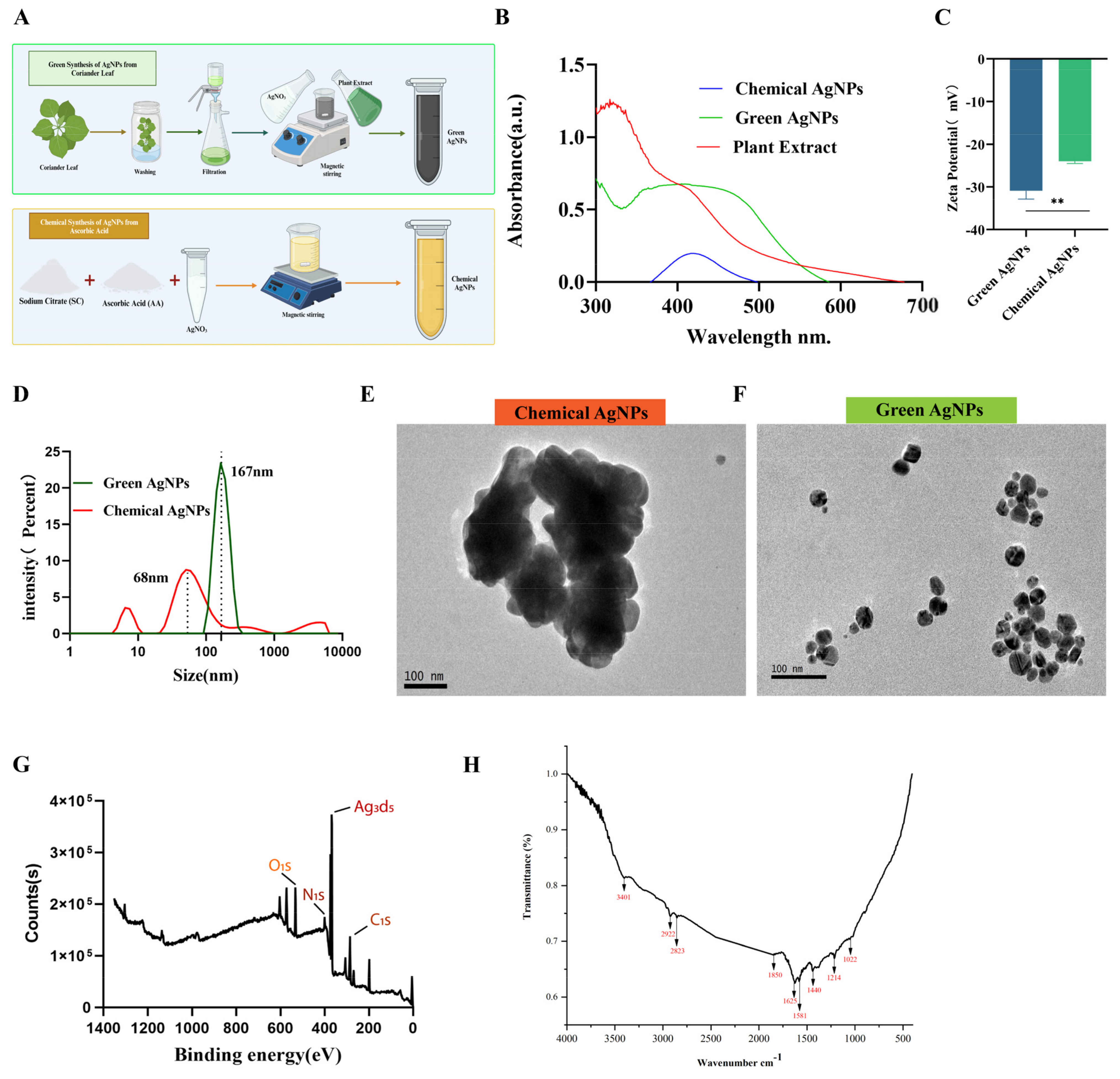 Nanomaterials 14 00237 g001