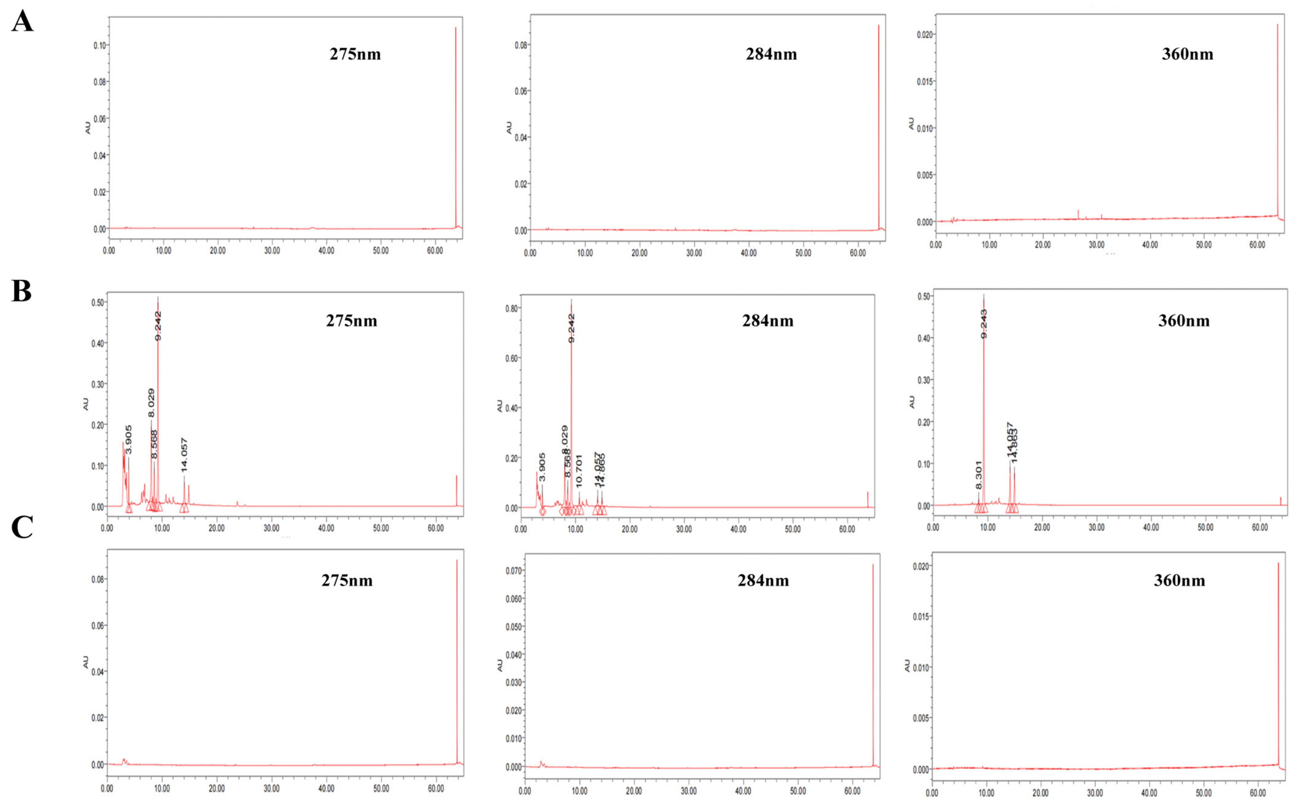 Nanomaterials 14 00237 g002