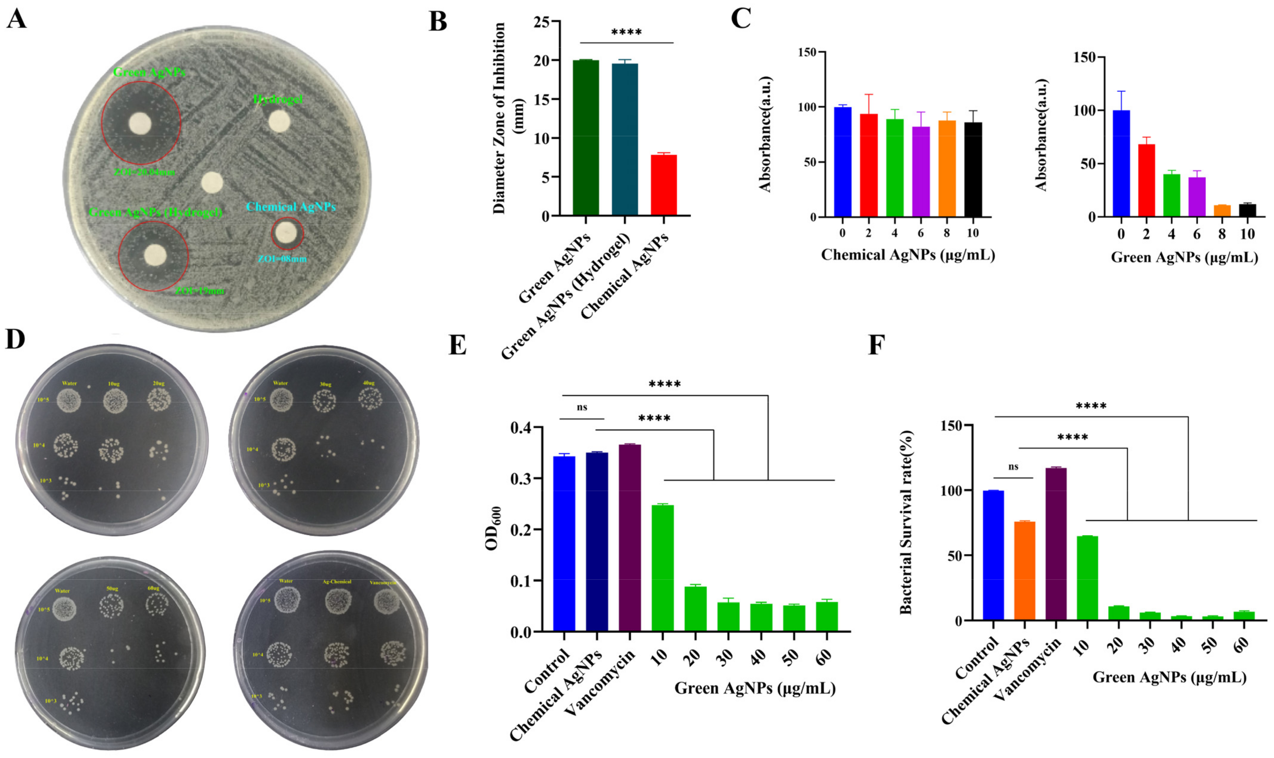 Nanomaterials 14 00237 g003