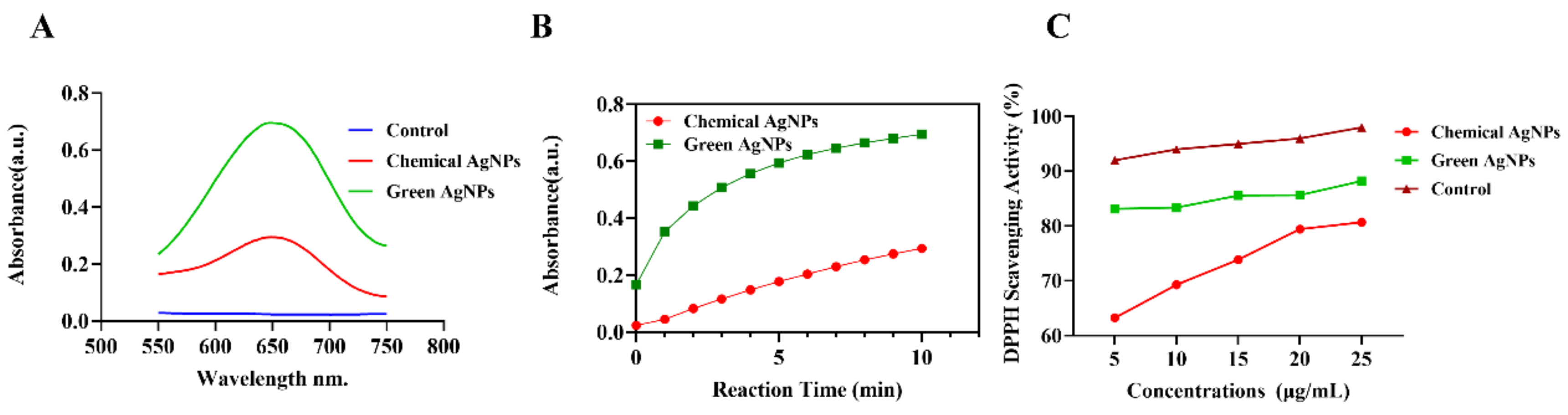 Nanomaterials 14 00237 g006