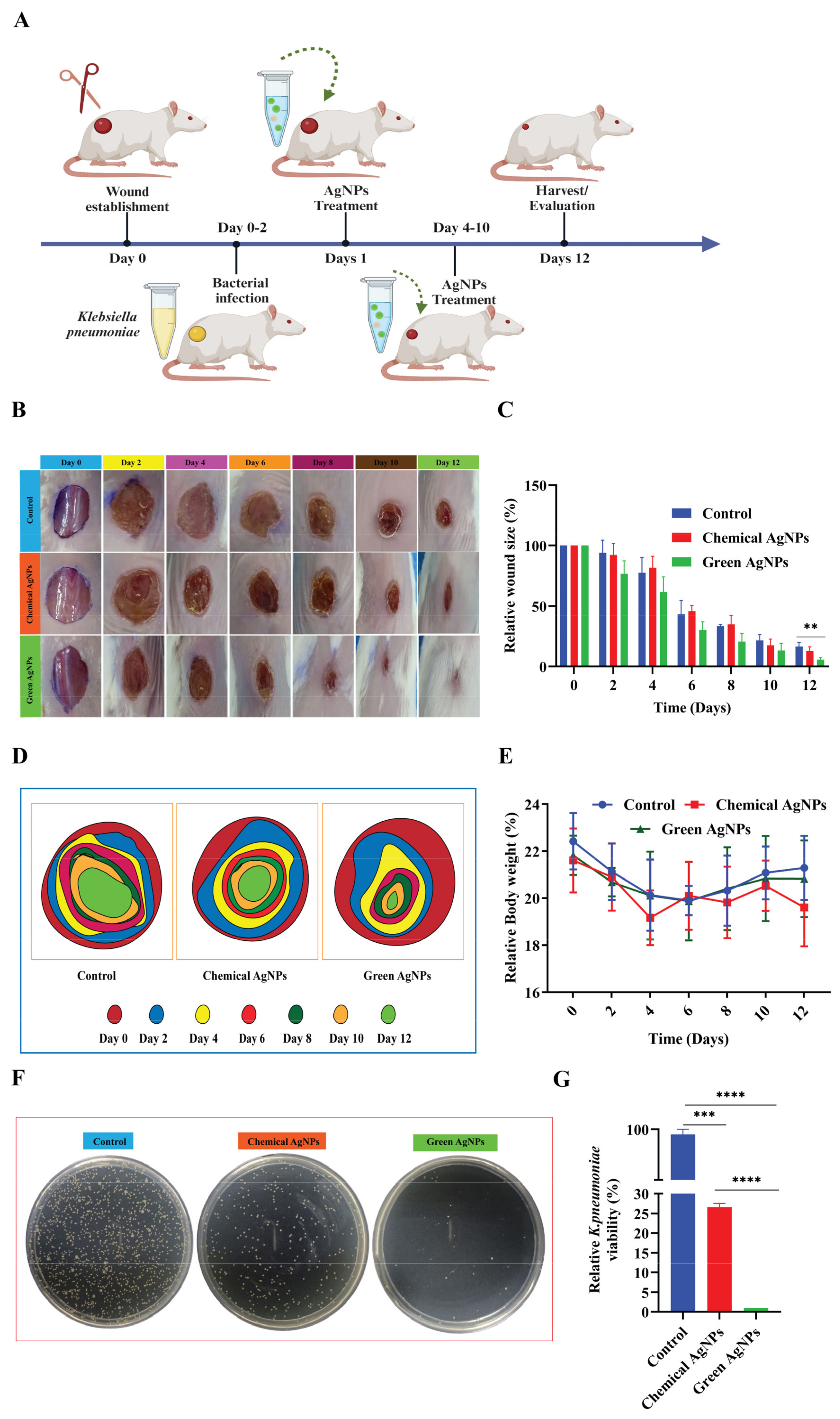Nanomaterials 14 00237 g008