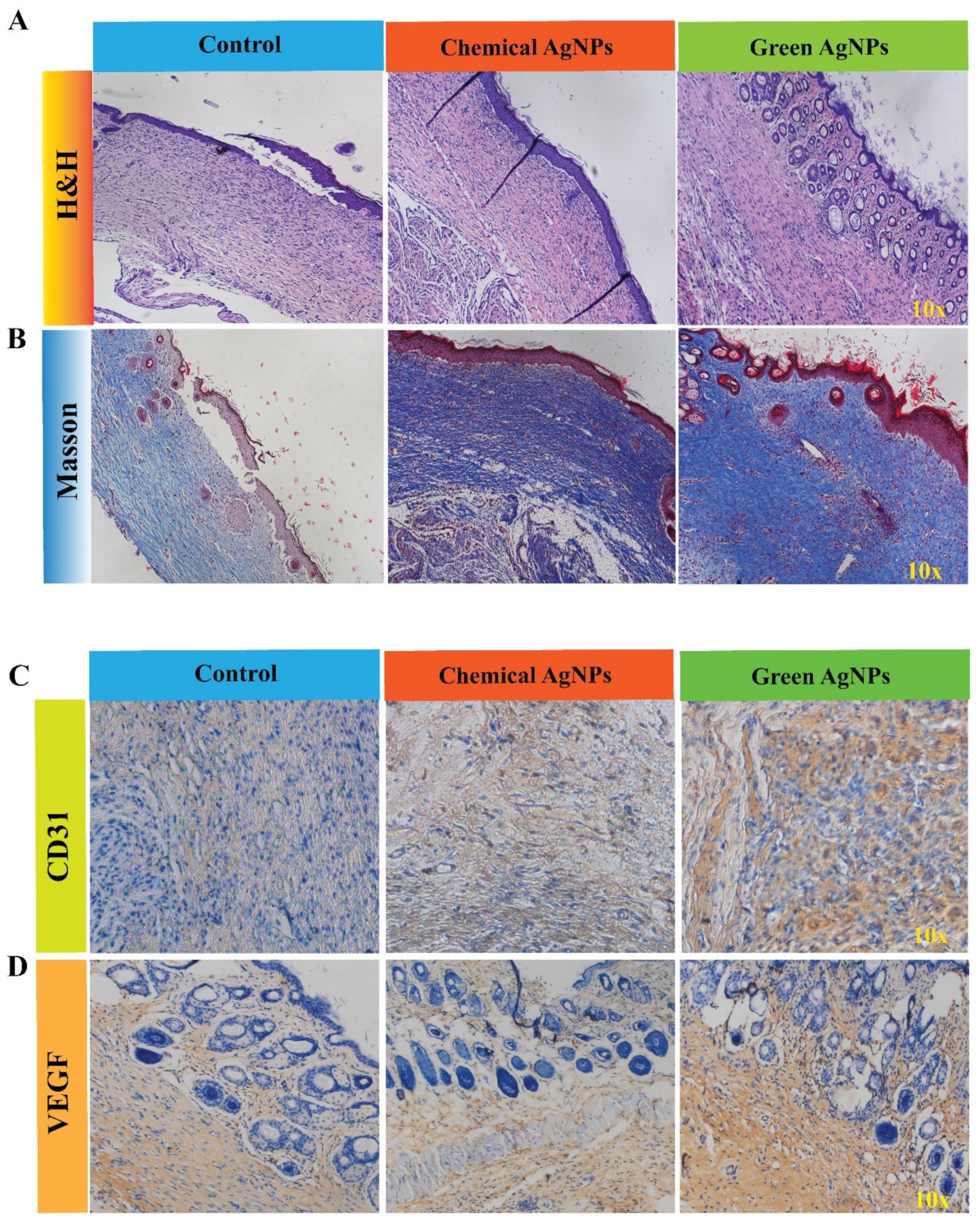 Nanomaterials 14 00237 g009