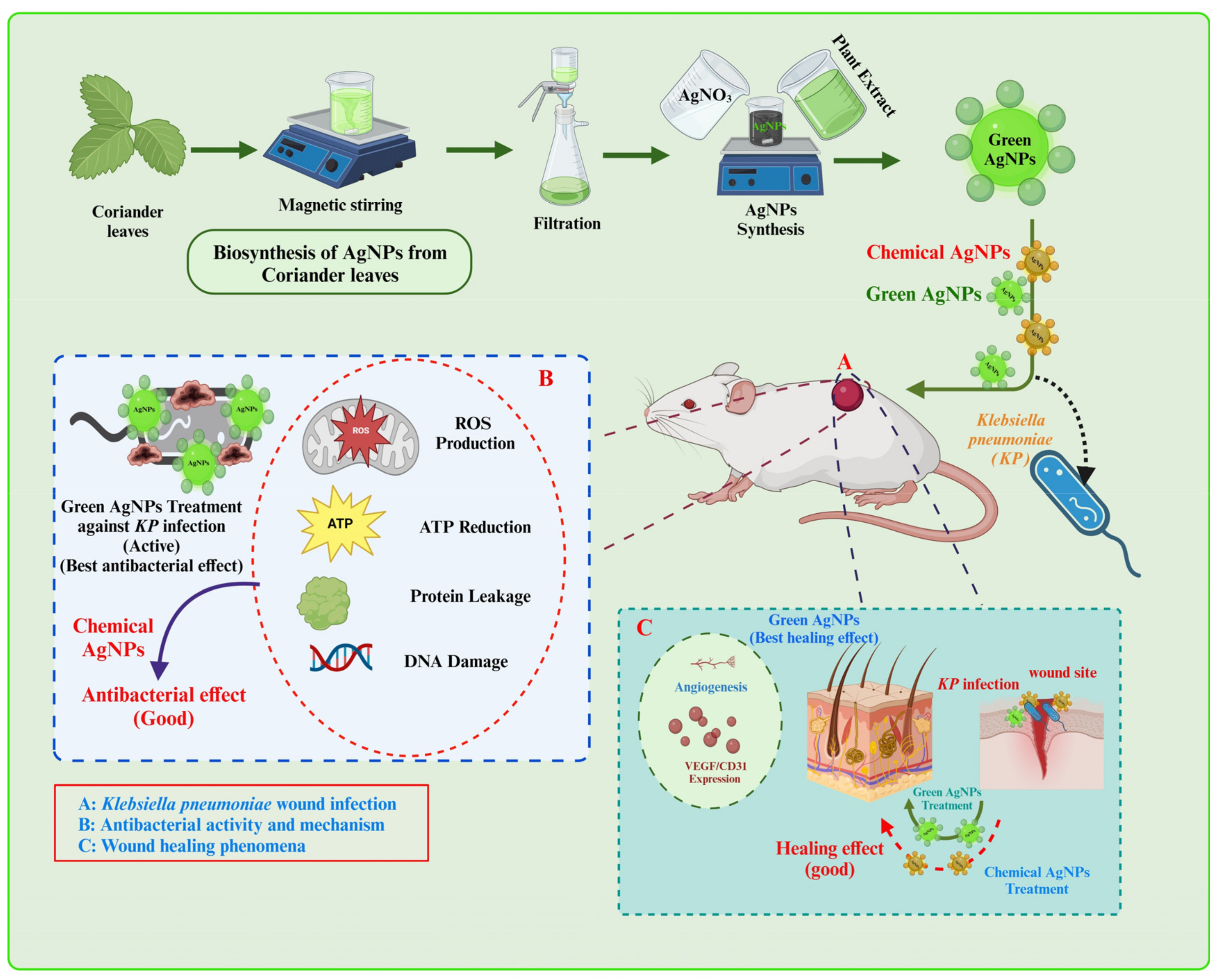 Nanomaterials 14 00237 sch001